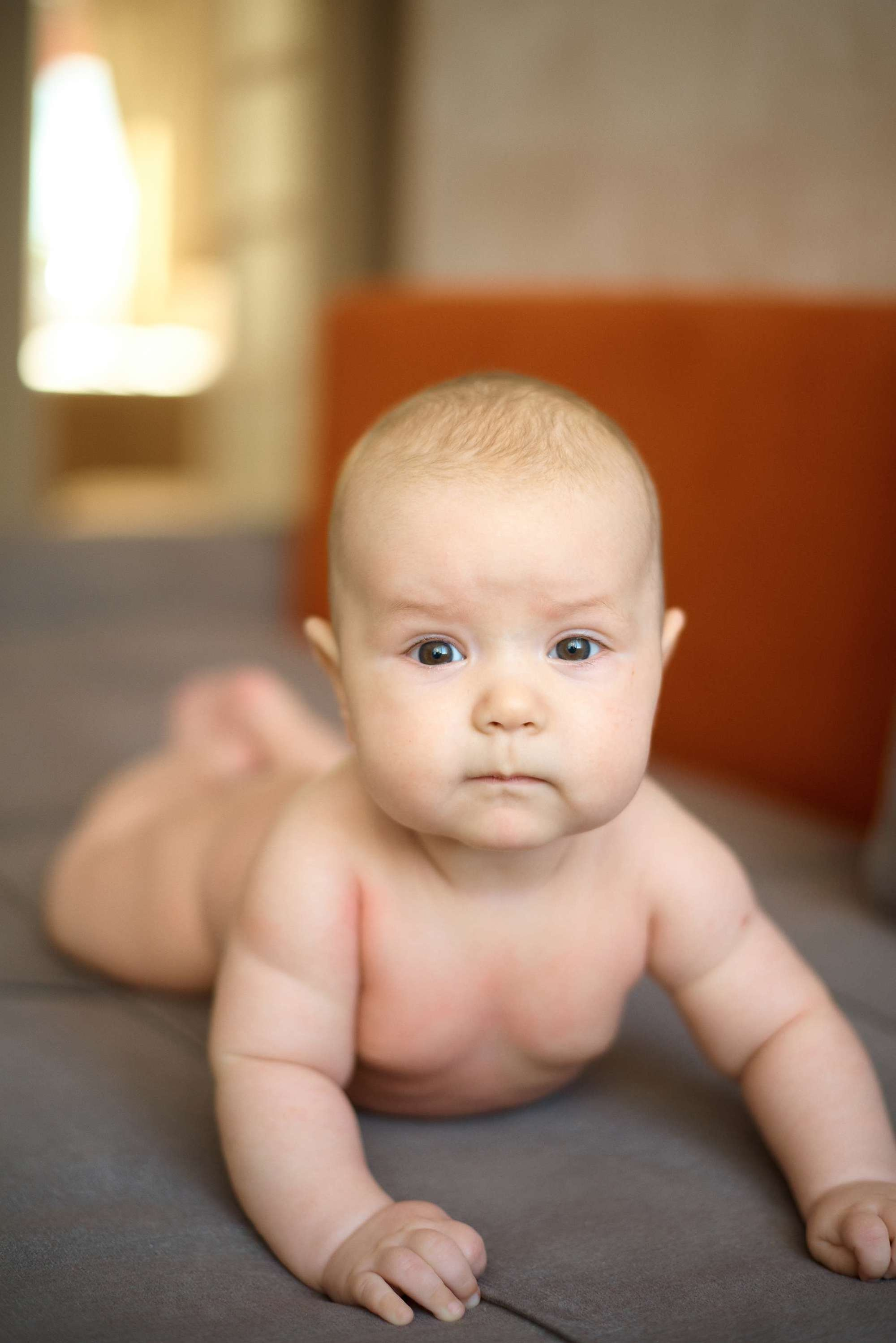 Сімейний ранок. Photographer Shepetivka, all over Ukraine, Dzekan Denys!