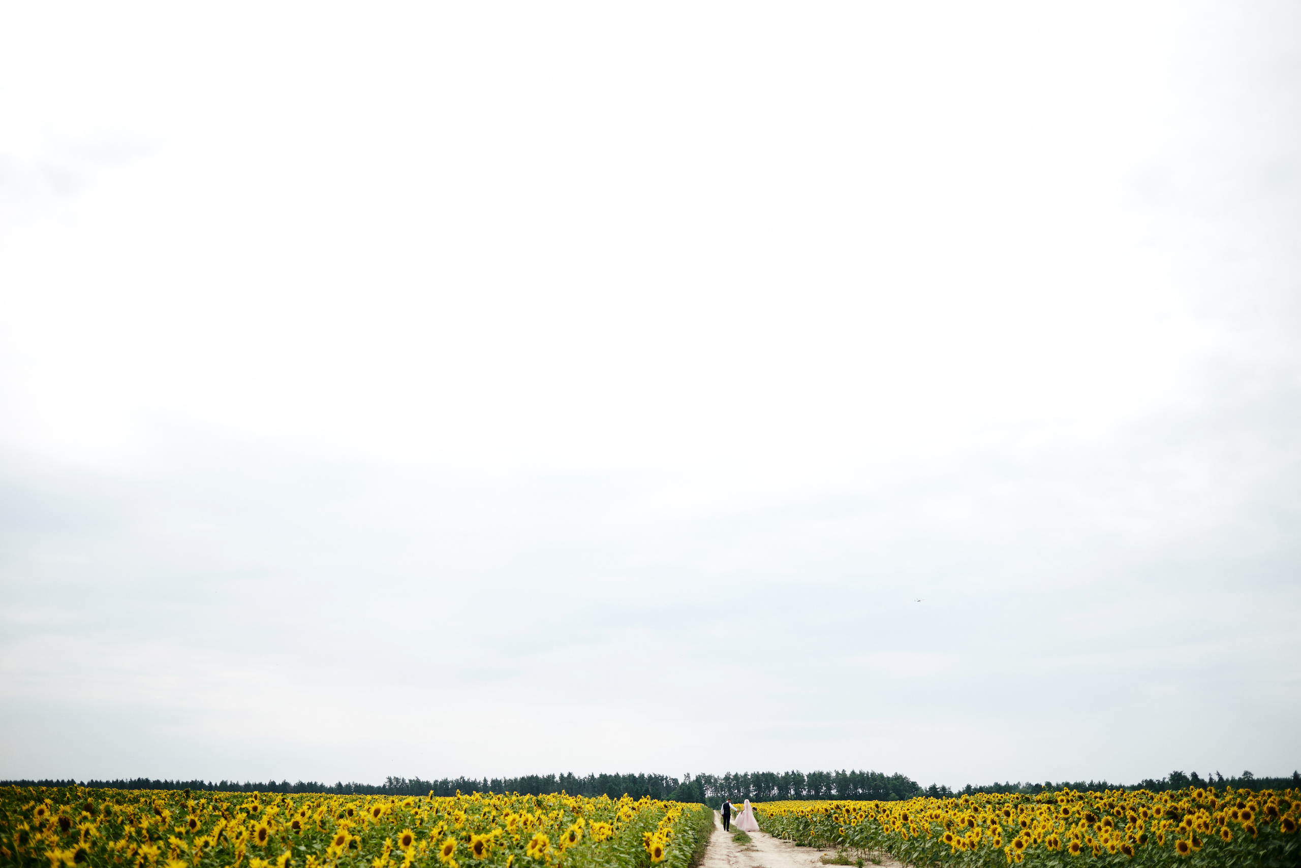 Олексадр & Анастасія, Весілля Нетішин, Сонет, ресторан сонет, весілля. Фотограф Шепетівка, вся Україна, Дзекан Денис!