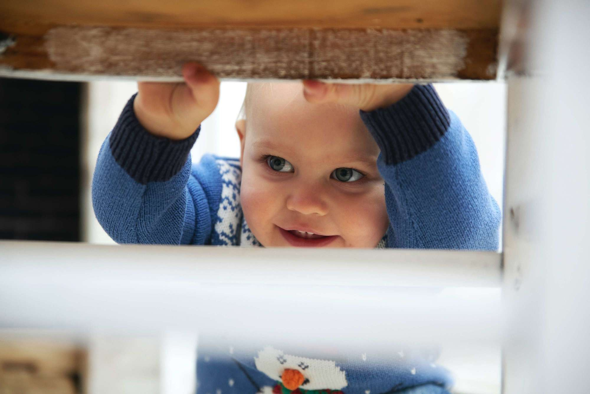 Новорічна зйомка у студії Family. Photographer Shepetivka, all over Ukraine, Dzekan Denys!