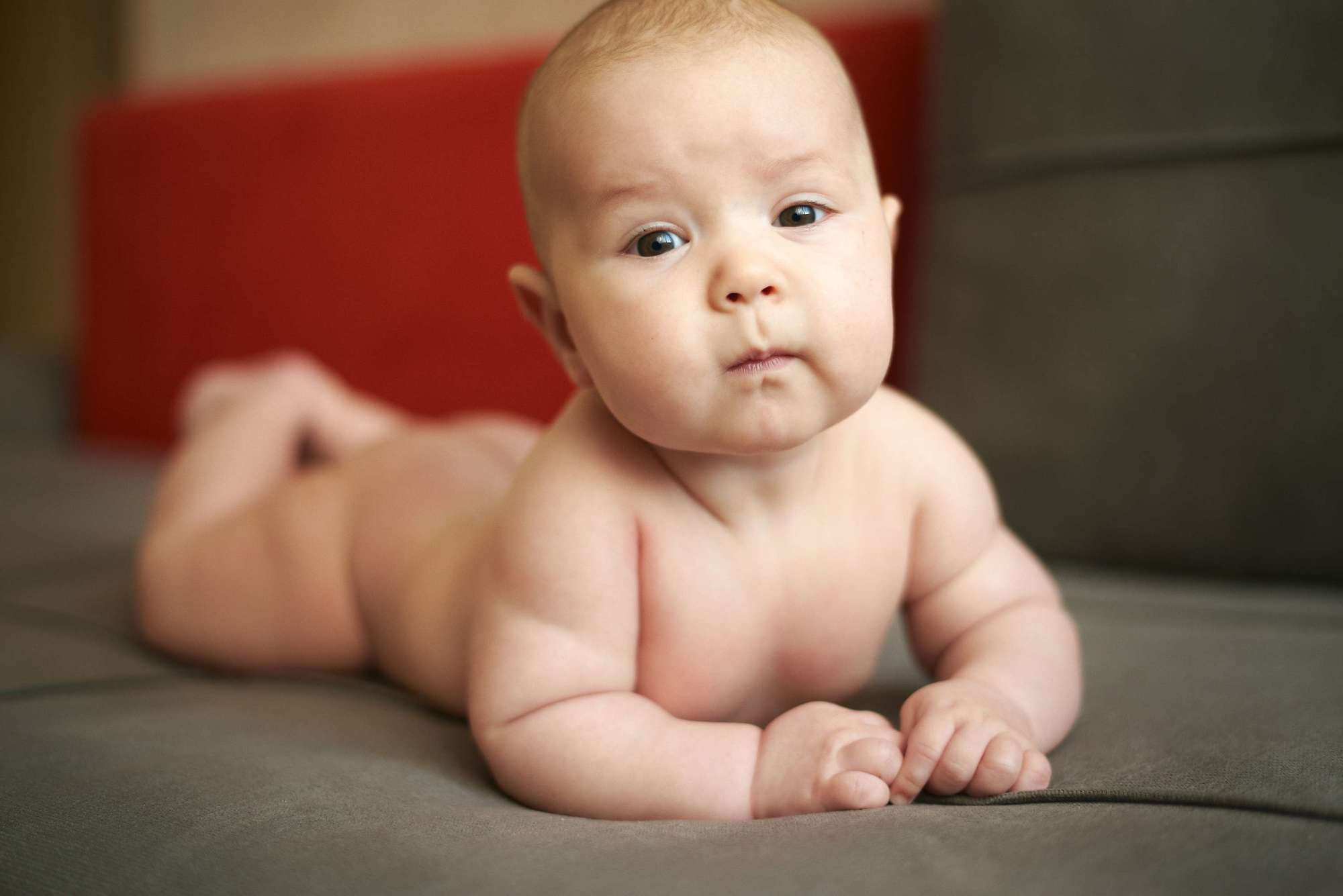 Сімейний ранок. Photographer Shepetivka, all over Ukraine, Dzekan Denys!