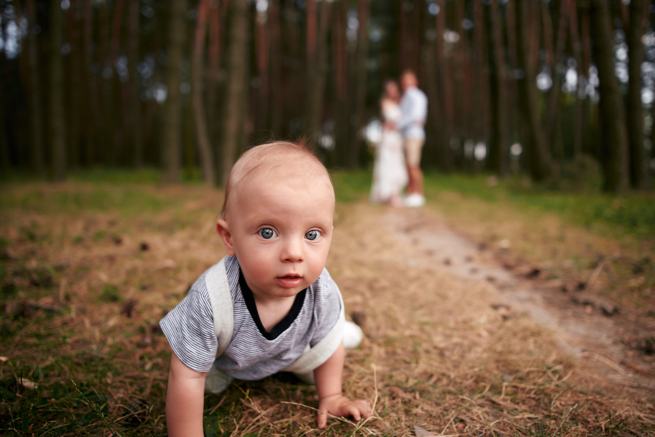 Сімейна прогулянка в сосновому лісі. Photographer Shepetivka, all over Ukraine, Dzekan Denys!