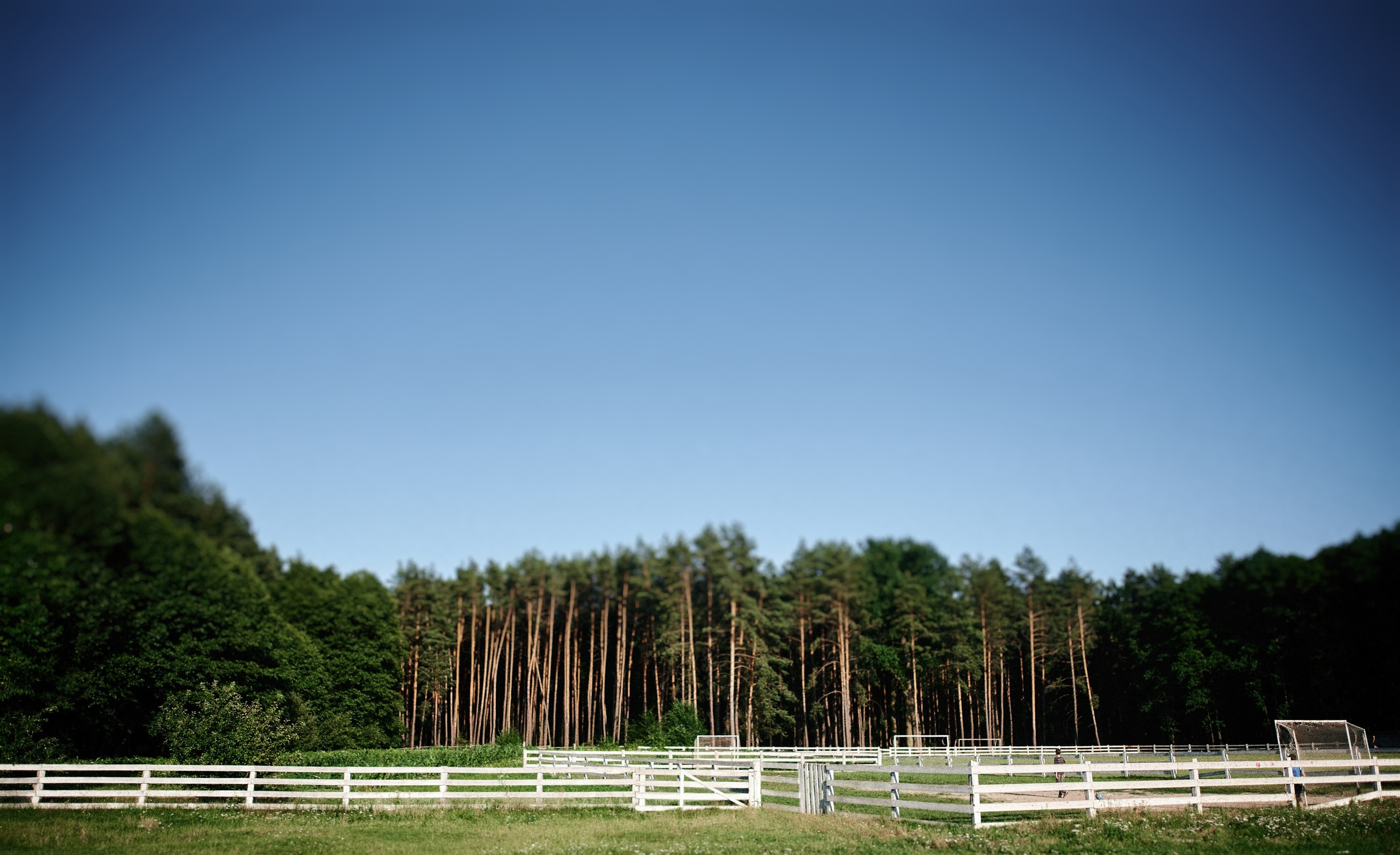 Прогулянка у 3х. Photographer Shepetivka, all over Ukraine, Dzekan Denys!