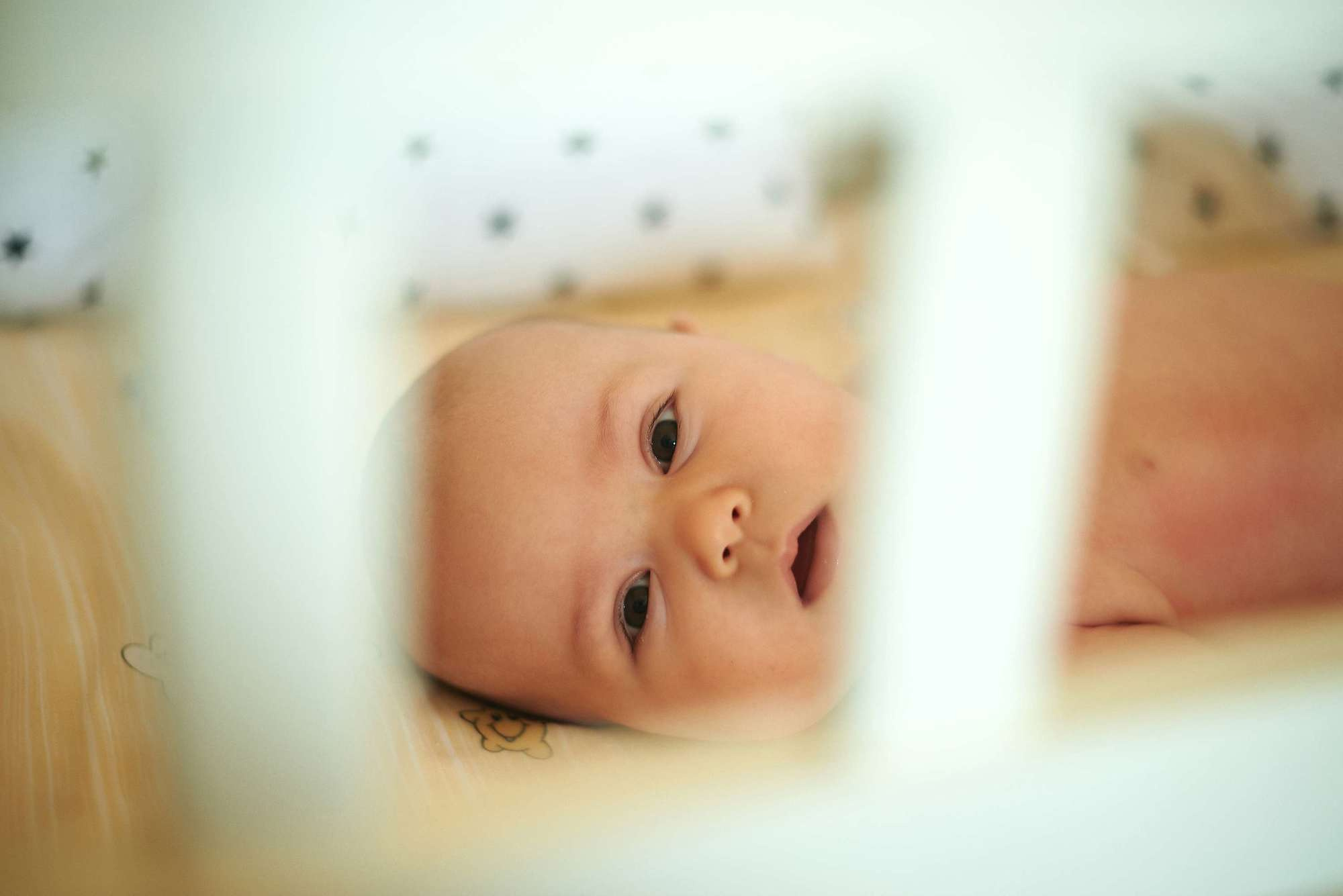 Сімейний ранок. Photographer Shepetivka, all over Ukraine, Dzekan Denys!