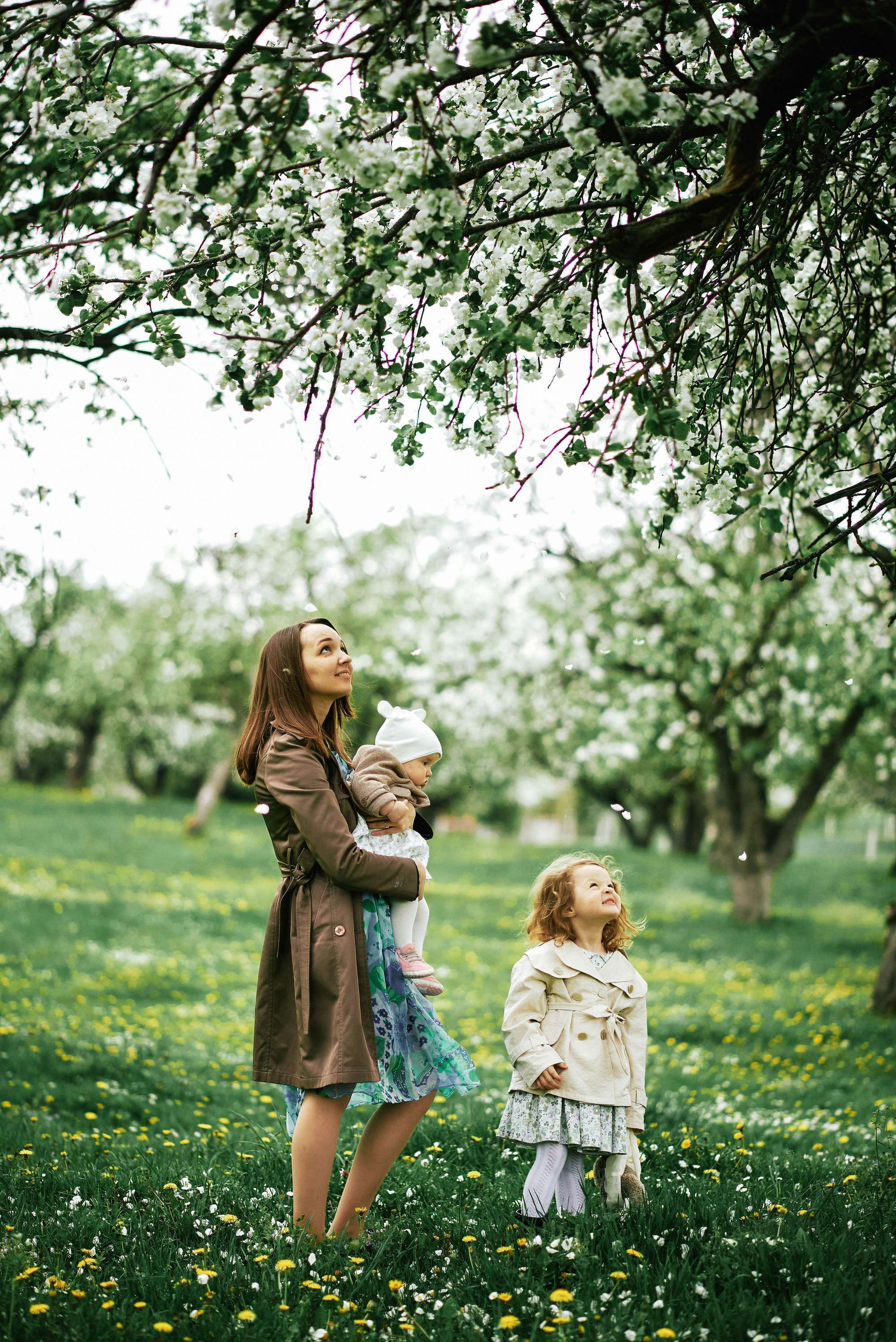 Квітучий садок. Фотограф Шепетівка, вся Україна, Дзекан Денис!