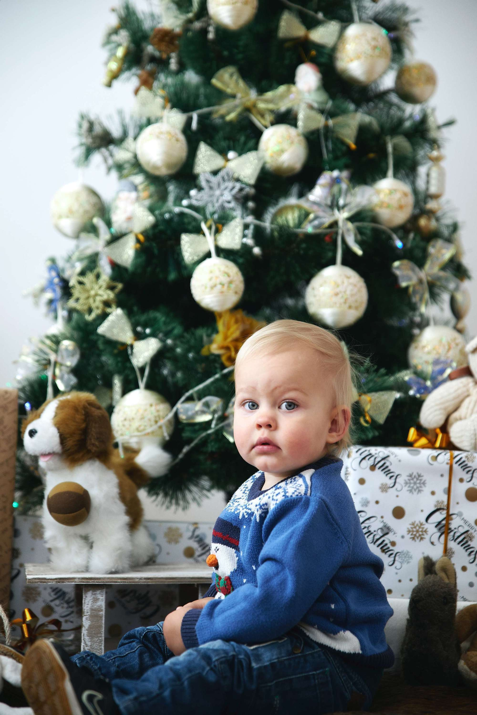 Новорічна зйомка у студії Family. Photographer Shepetivka, all over Ukraine, Dzekan Denys!