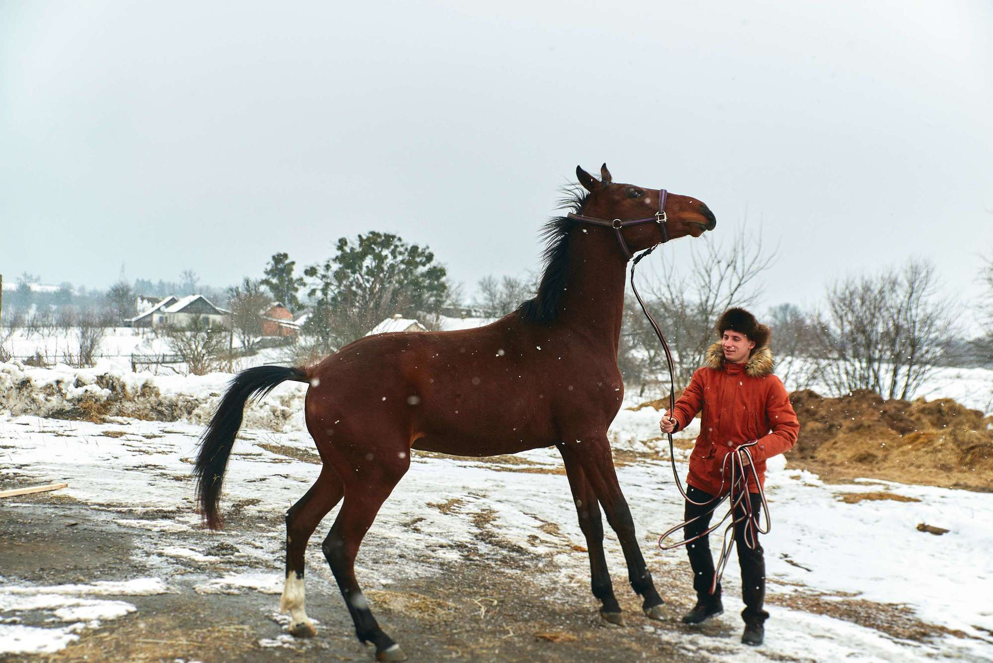 Паша + Даша. Photographer Shepetivka, all over Ukraine, Dzekan Denys!
