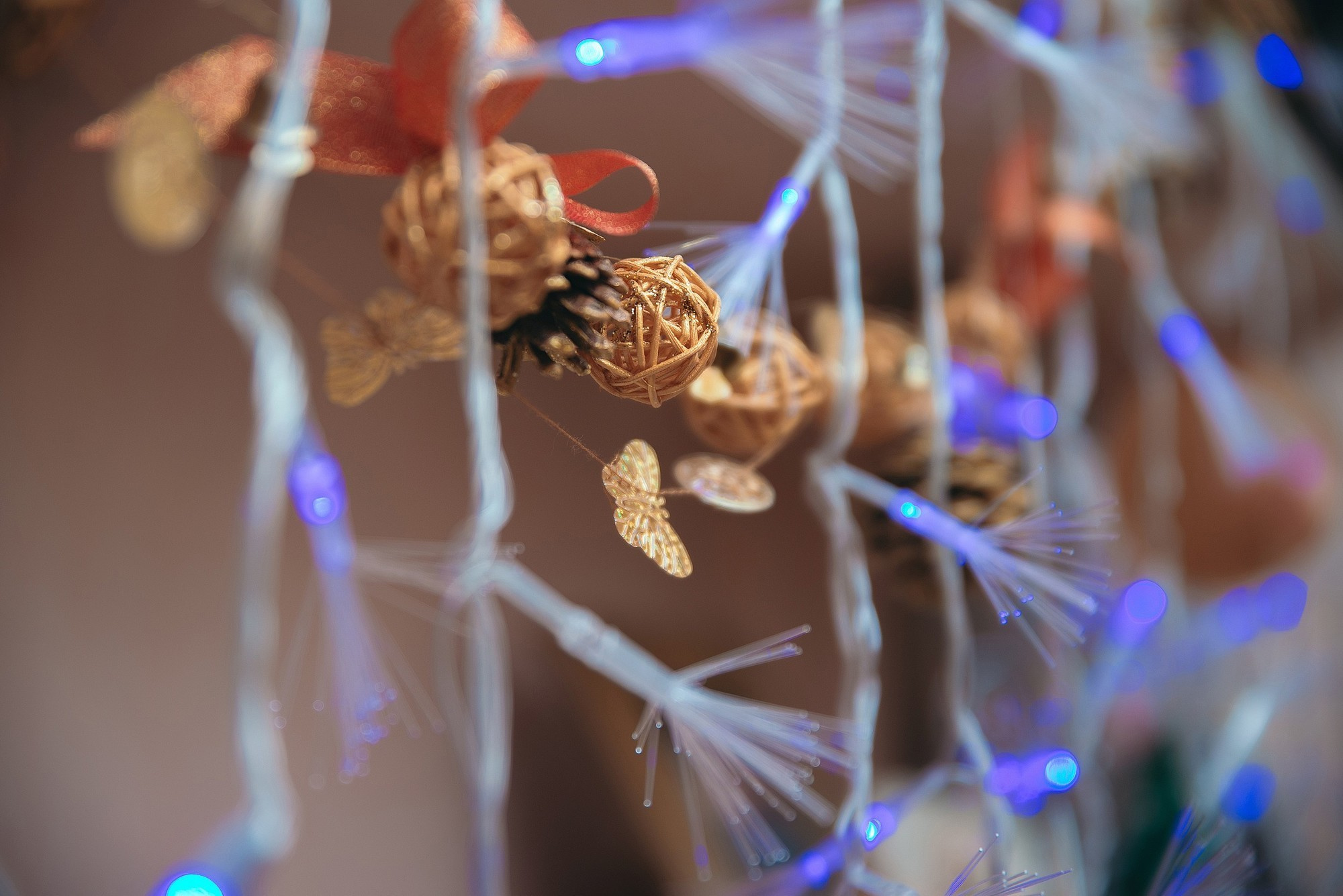 Сімейна, домашня. Photographer Shepetivka, all over Ukraine, Dzekan Denys!