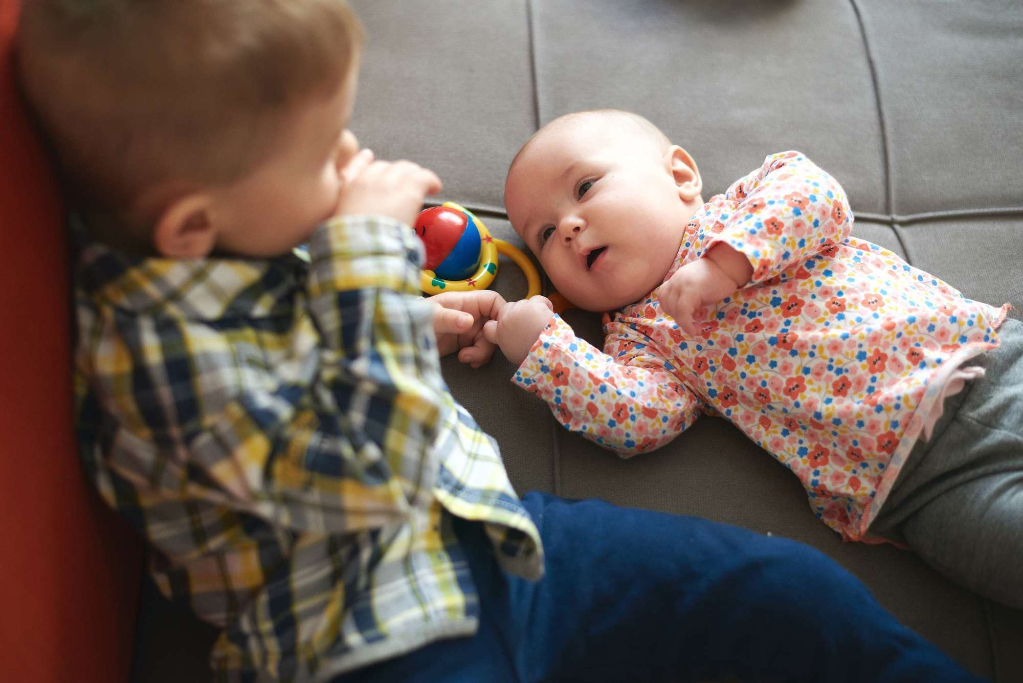 Сімейний ранок. Photographer Shepetivka, all over Ukraine, Dzekan Denys!