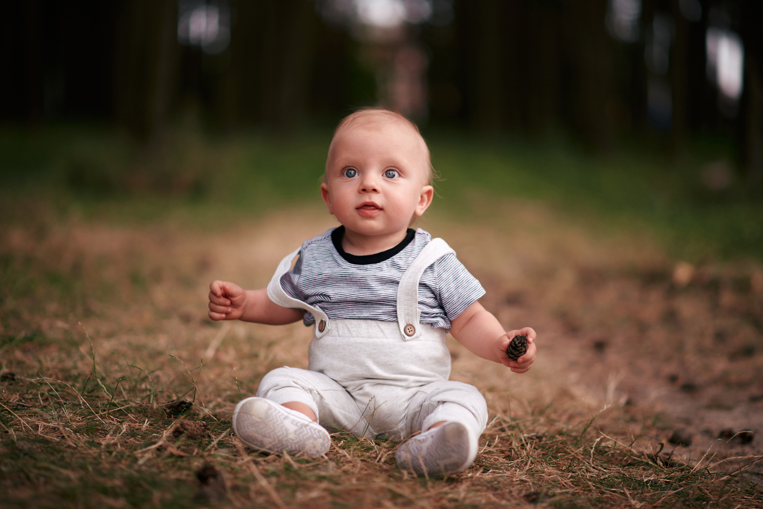 Сімейна прогулянка в сосновому лісі. Photographer Shepetivka, all over Ukraine, Dzekan Denys!