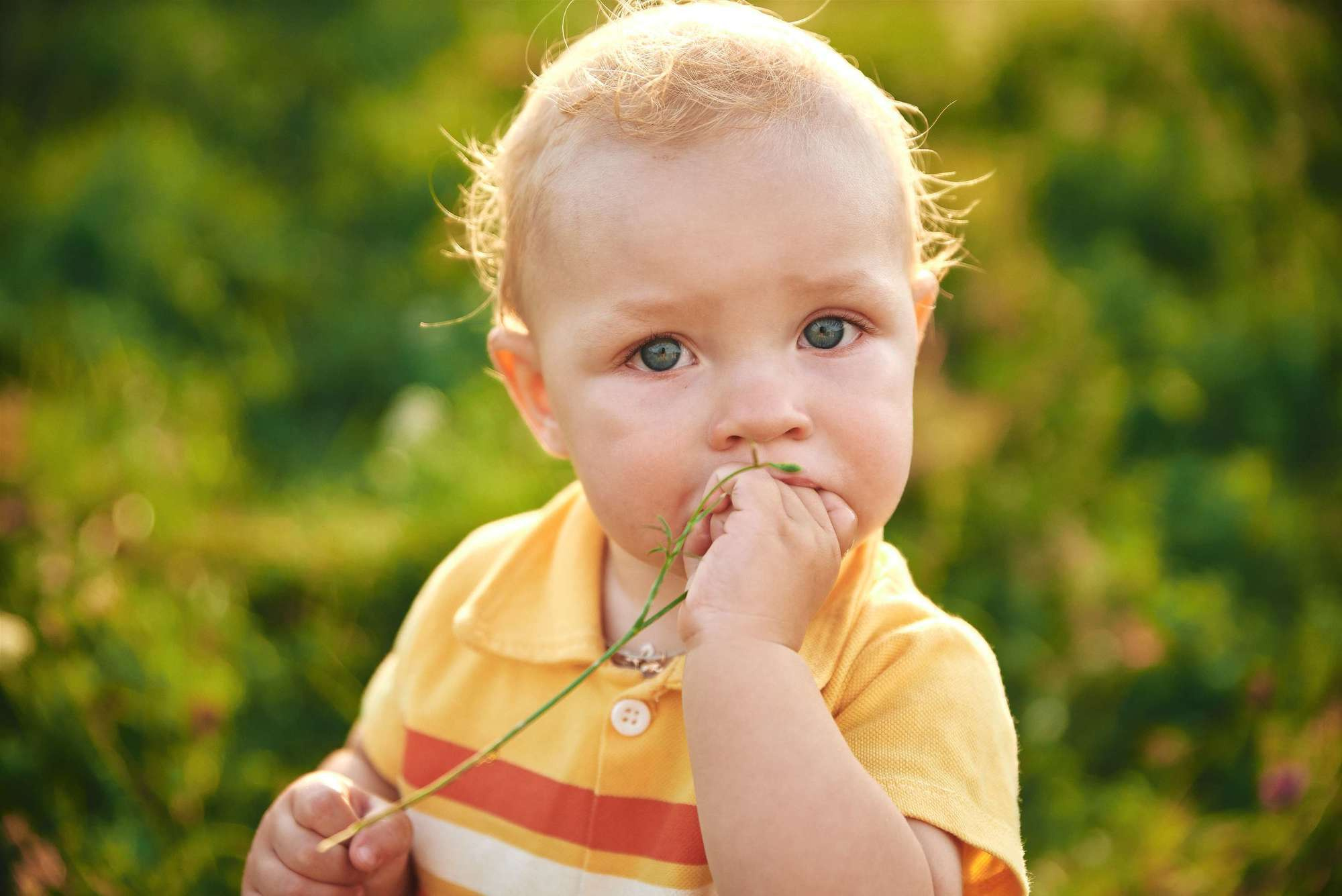 Надя+Рома (сімейна зйомка). Photographer Shepetivka, all over Ukraine, Dzekan Denys!