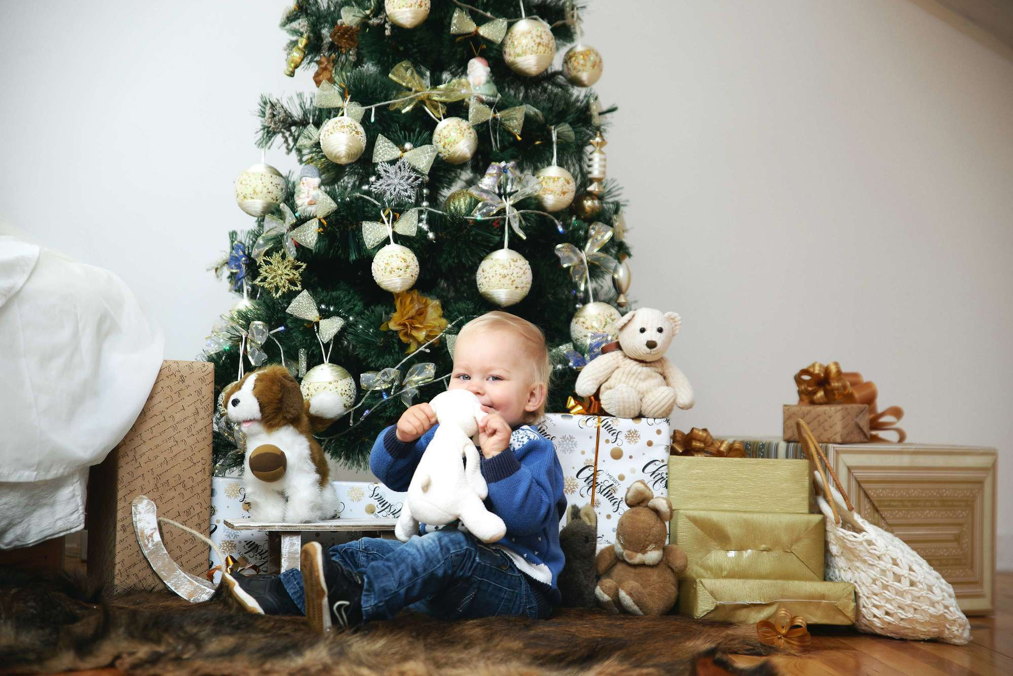 Новорічна зйомка у студії Family. Photographer Shepetivka, all over Ukraine, Dzekan Denys!