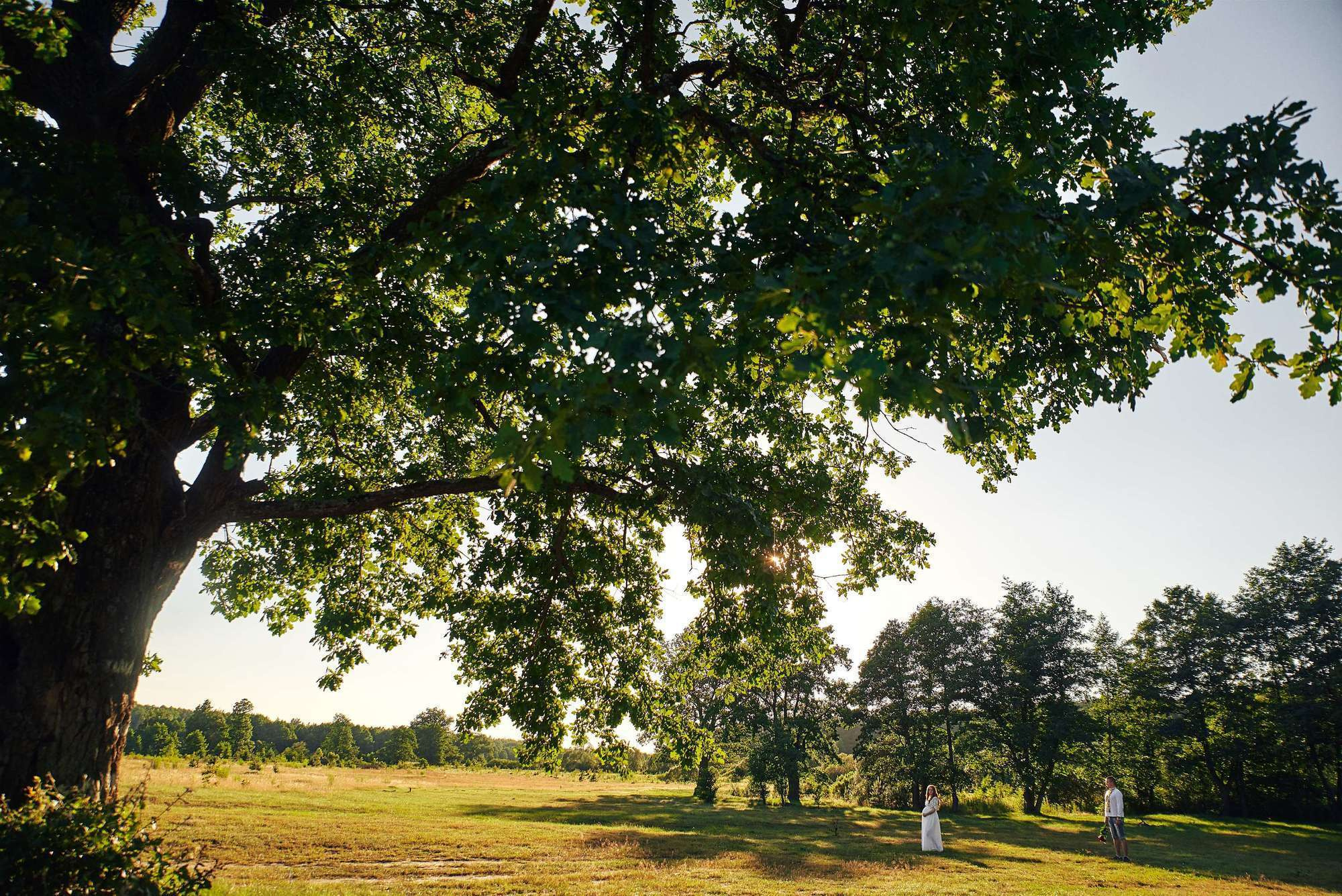Євгеній+Оксана. Photographer Shepetivka, all over Ukraine, Dzekan Denys!