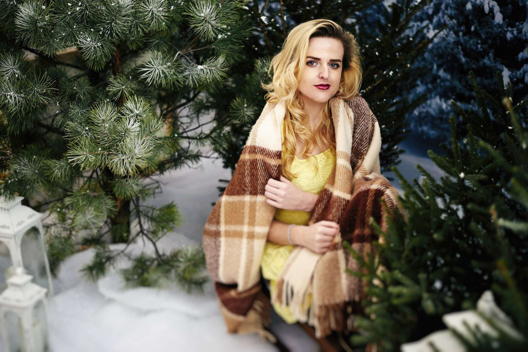 Персональна новорічна. Photographer Shepetivka, all over Ukraine, Dzekan Denys!