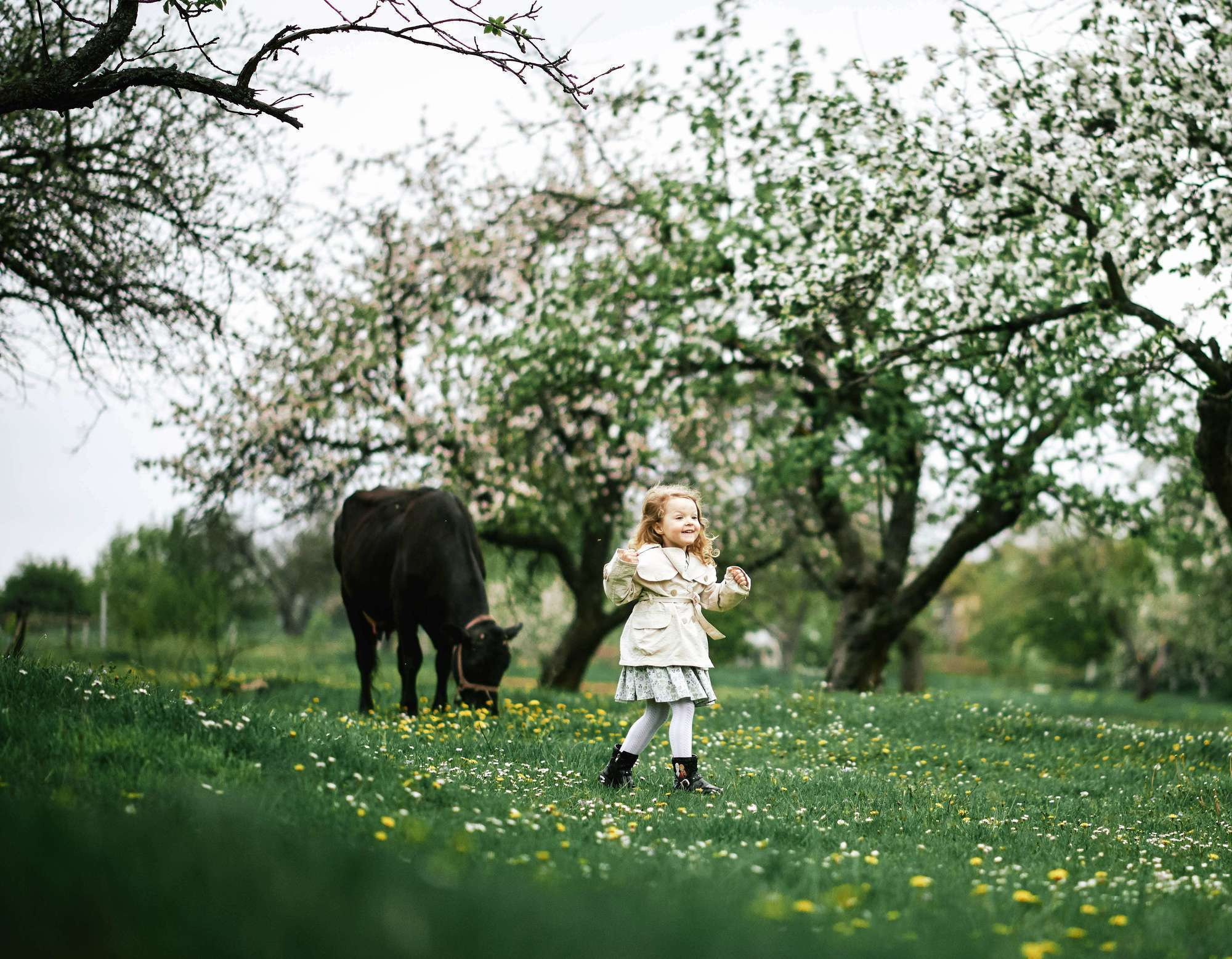 Квітучий садок. Фотограф Шепетівка, вся Україна, Дзекан Денис!