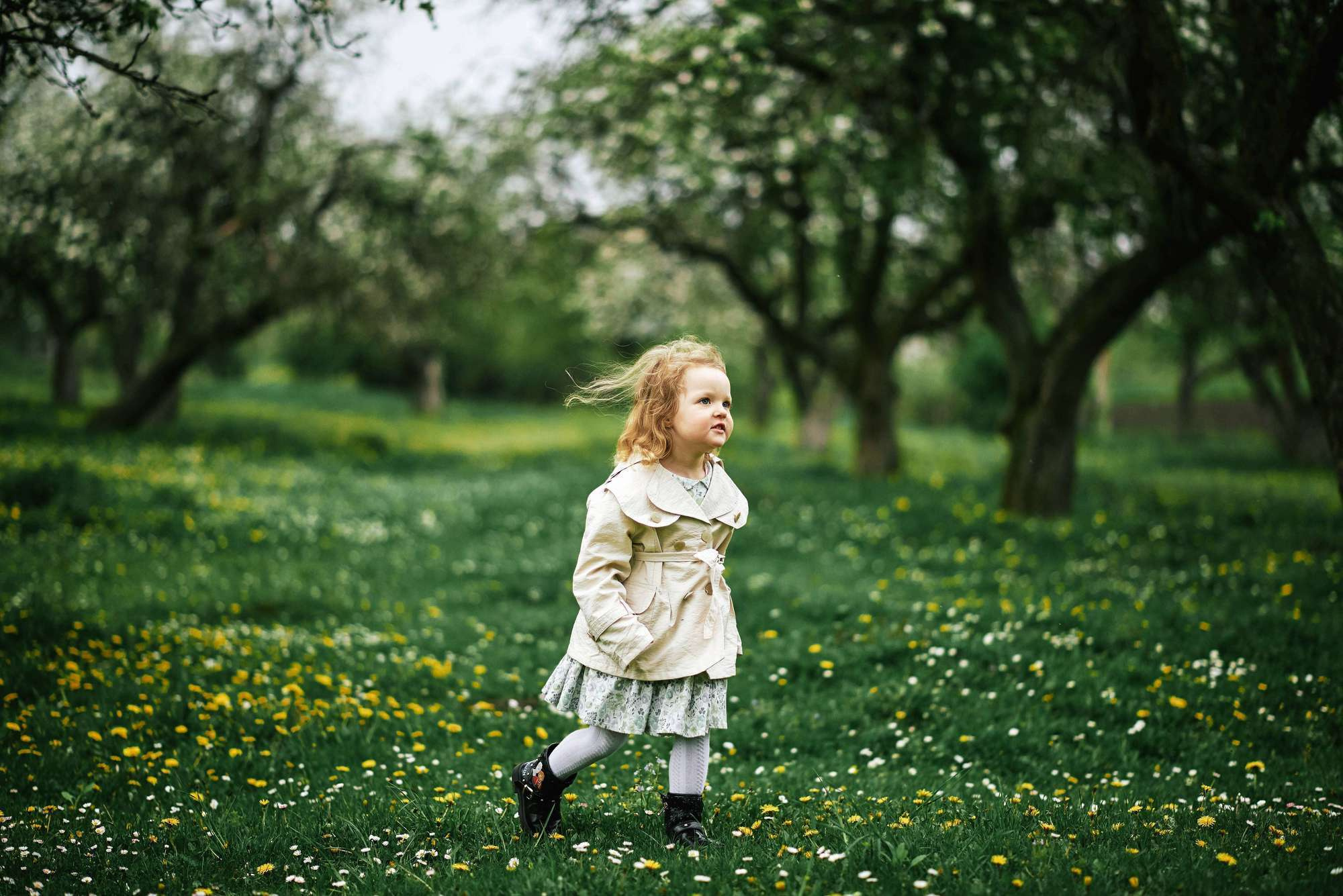 Квітучий садок. Фотограф Шепетівка, вся Україна, Дзекан Денис!