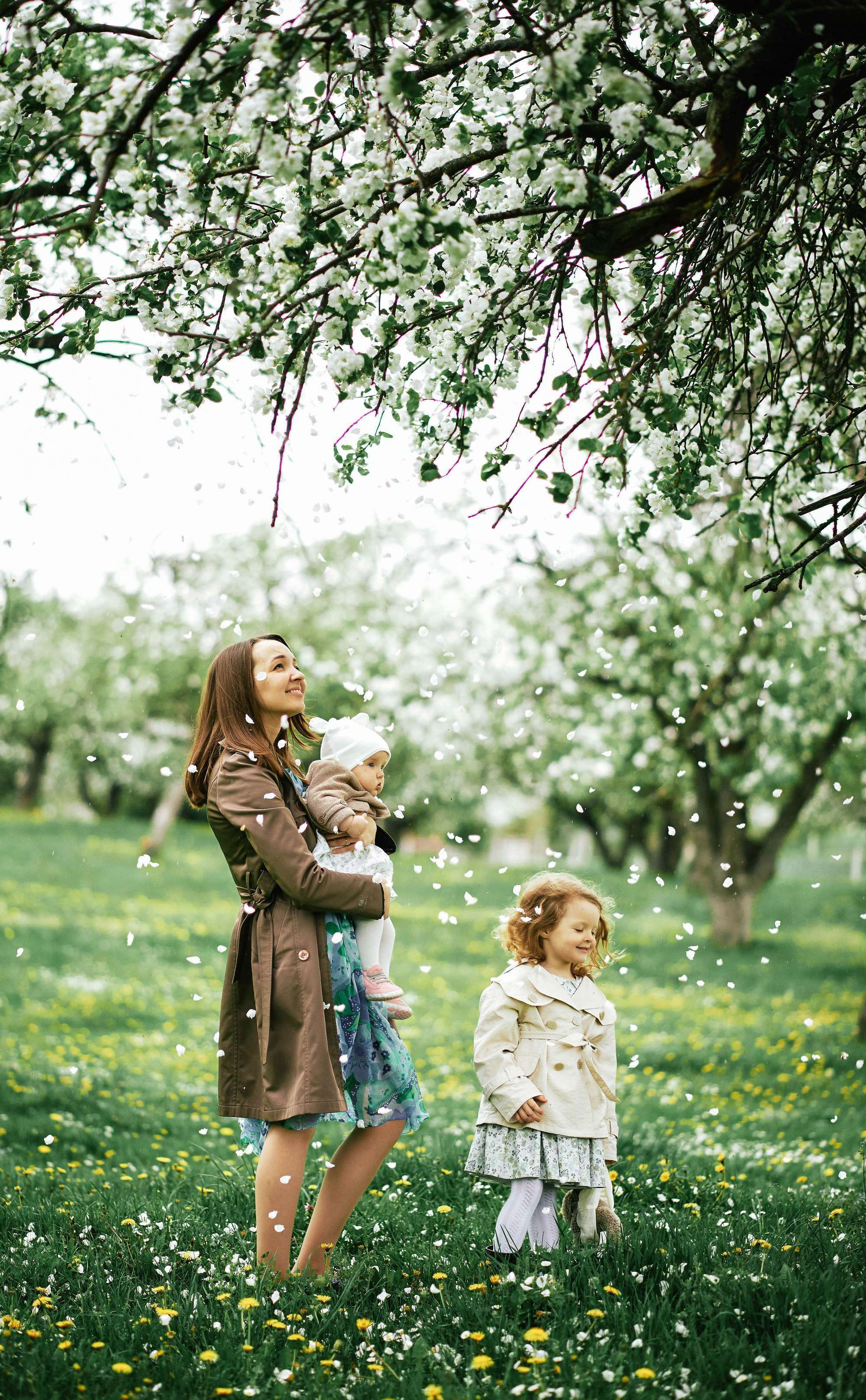Квітучий садок. Фотограф Шепетівка, вся Україна, Дзекан Денис!