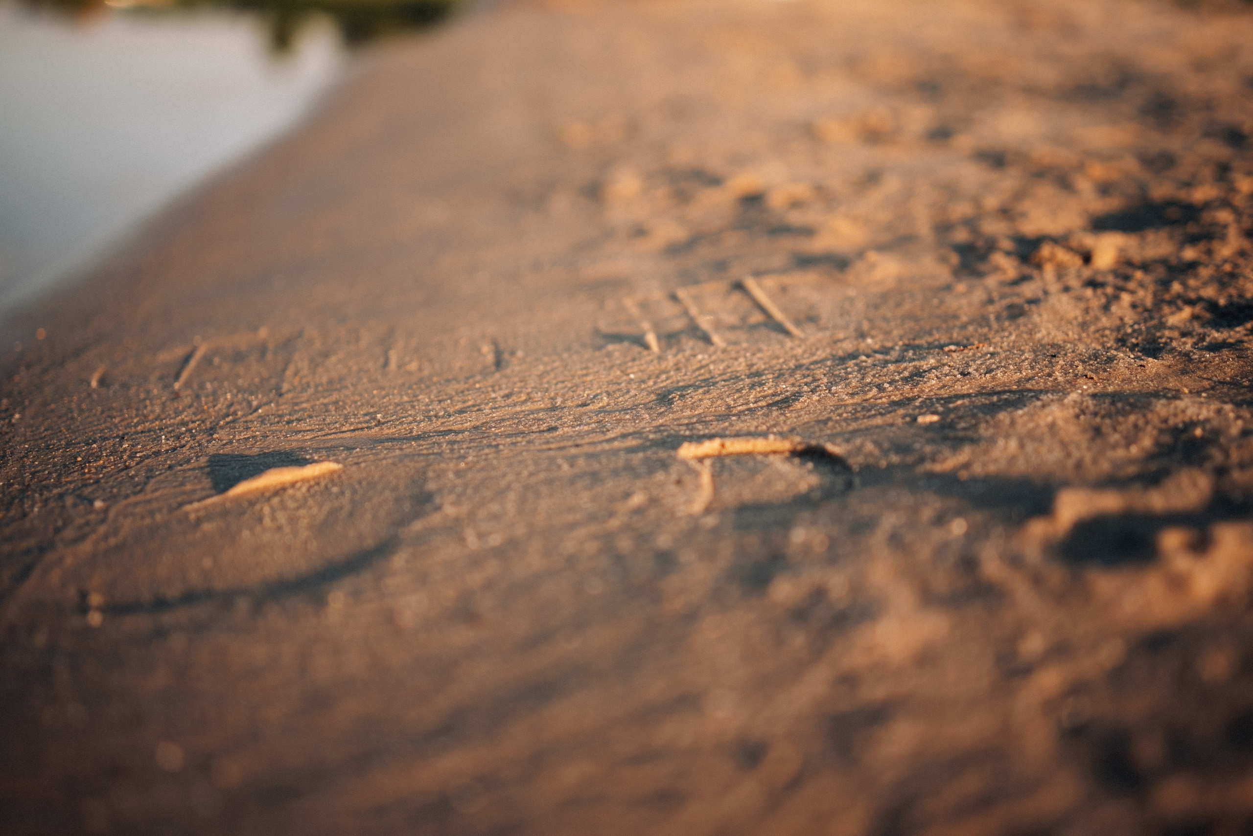 Альона та Гріша. Фотограф Шепетівка, вся Україна, Дзекан Денис!