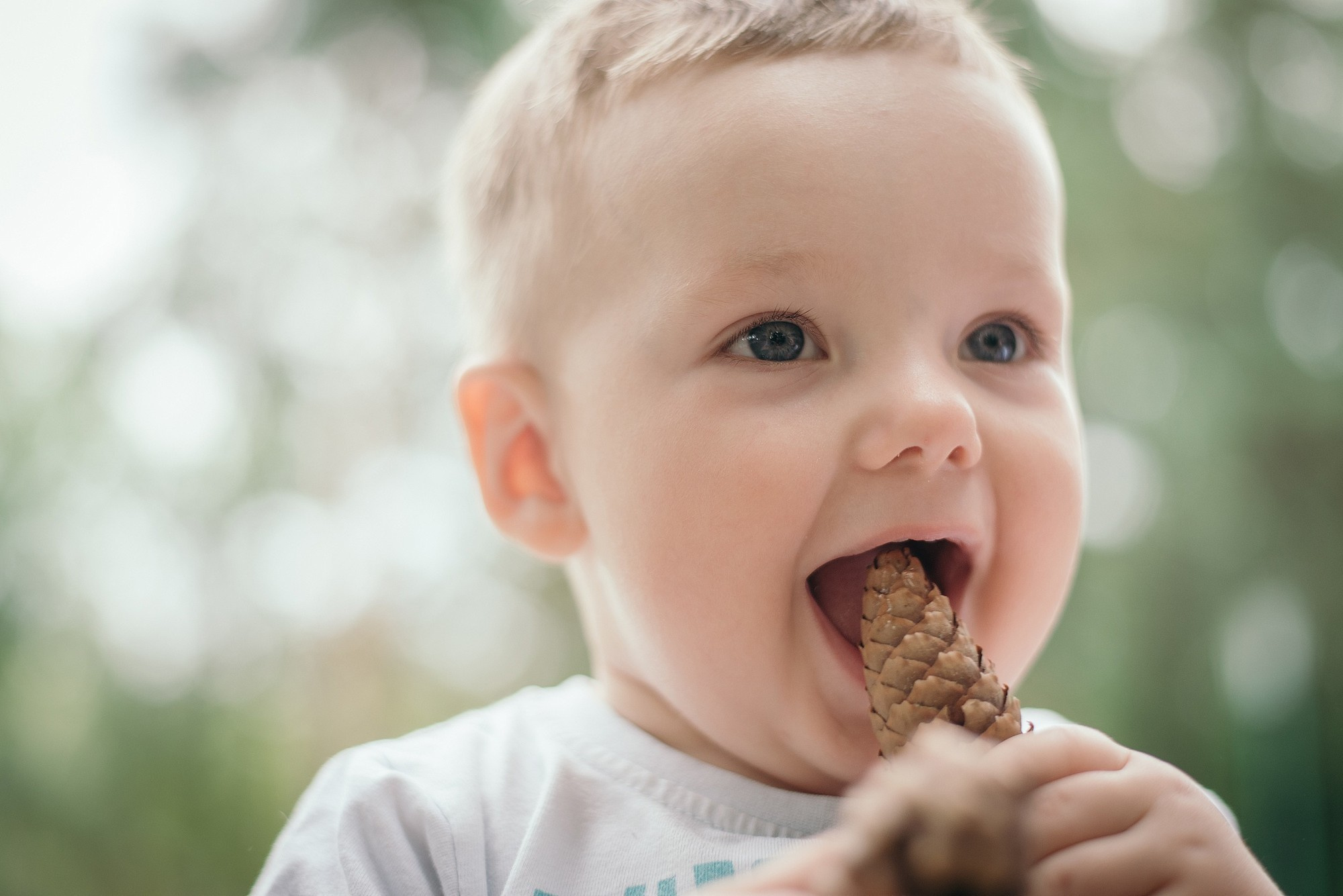 Дитяча, парк. Photographer Shepetivka, all over Ukraine, Dzekan Denys!