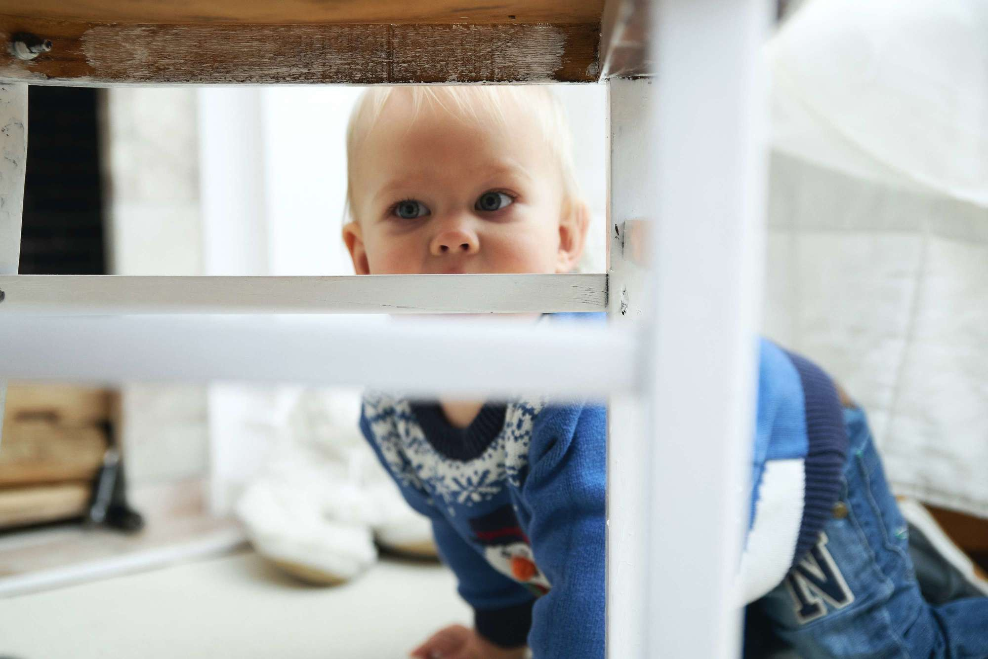 Новорічна зйомка у студії Family. Photographer Shepetivka, all over Ukraine, Dzekan Denys!