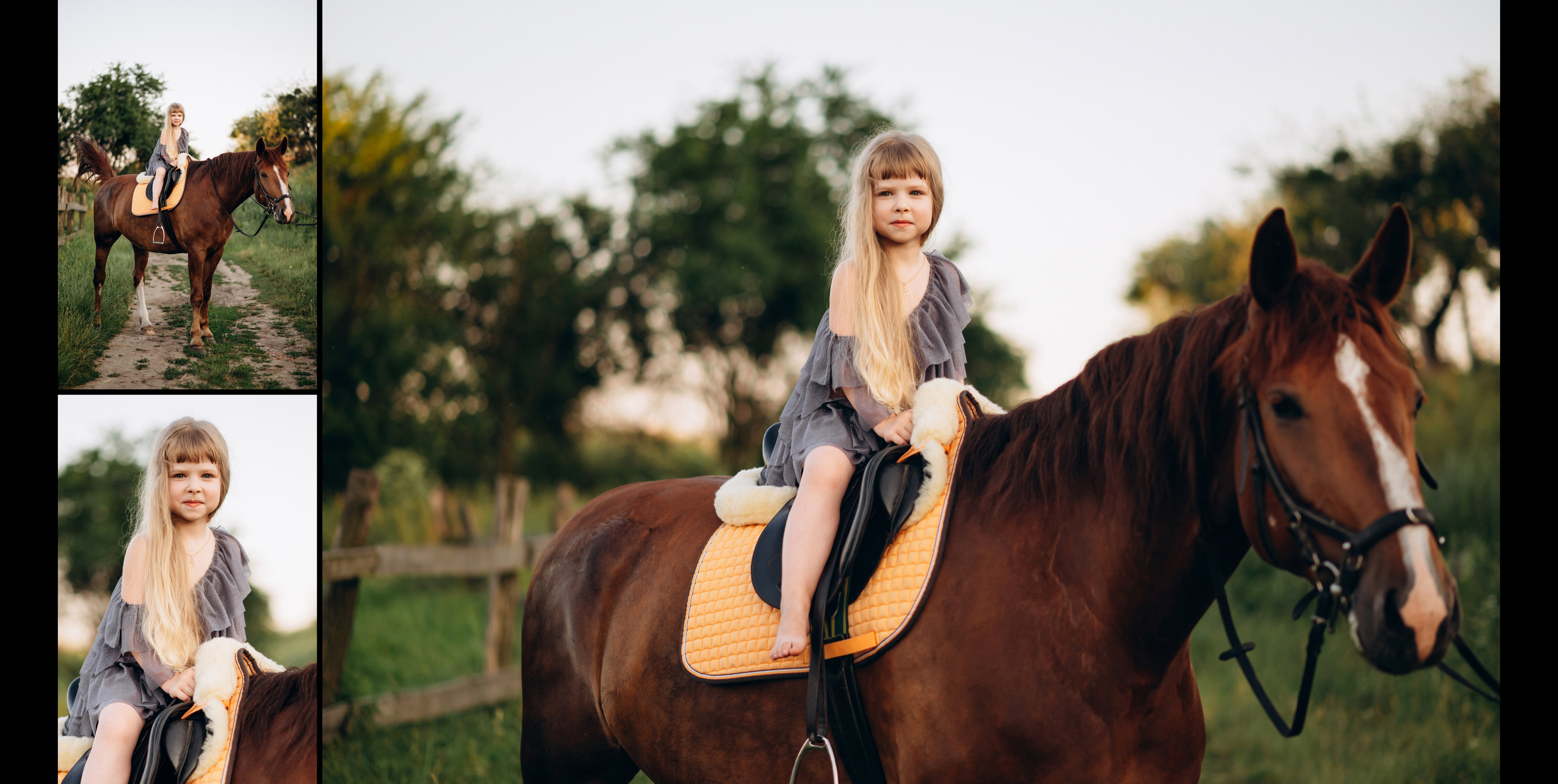 Прогулянка на конях. Photographer Shepetivka, all over Ukraine, Dzekan Denys!