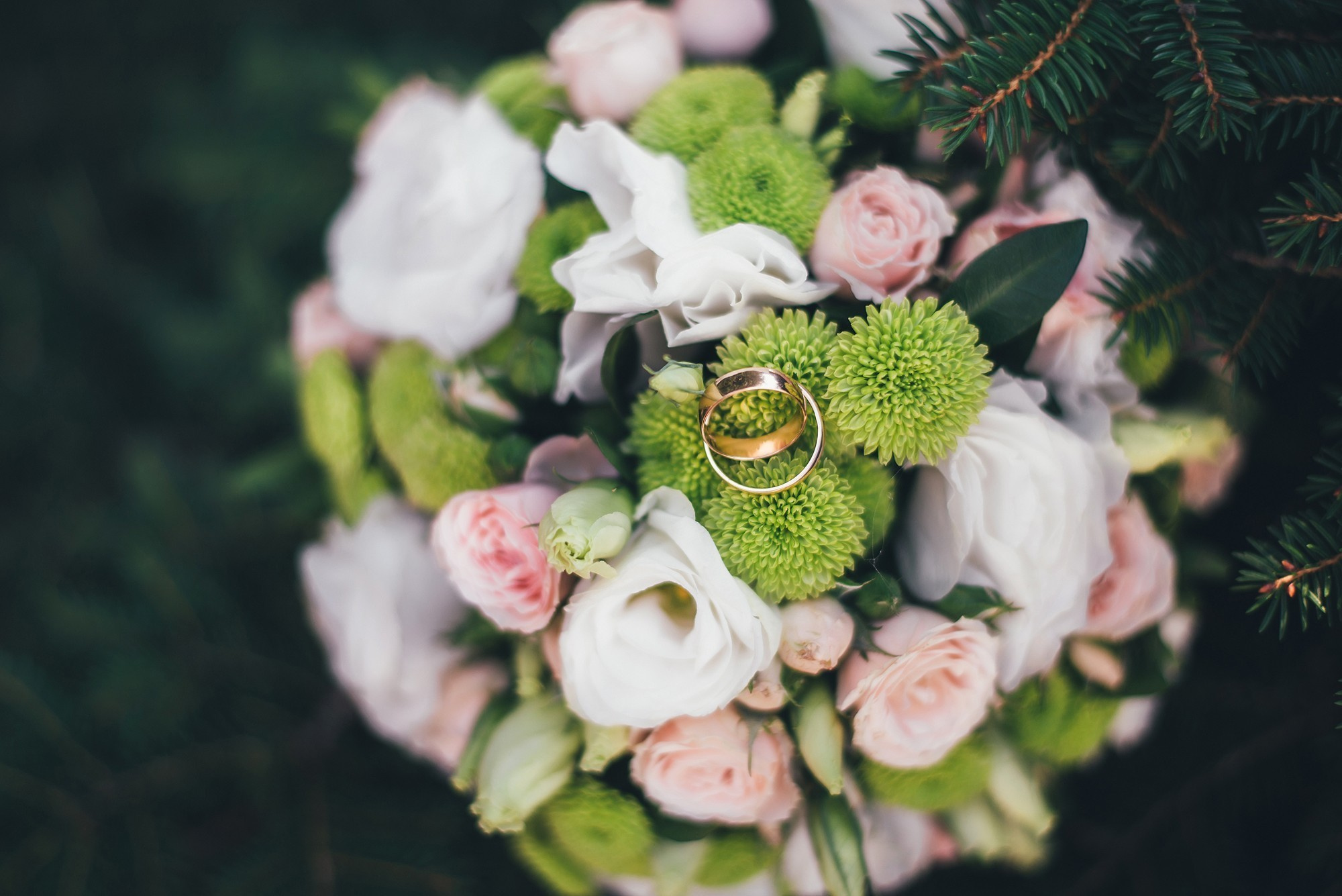 Діма+Надін. Шепетівка. Photographer Shepetivka, all over Ukraine, Dzekan Denys!