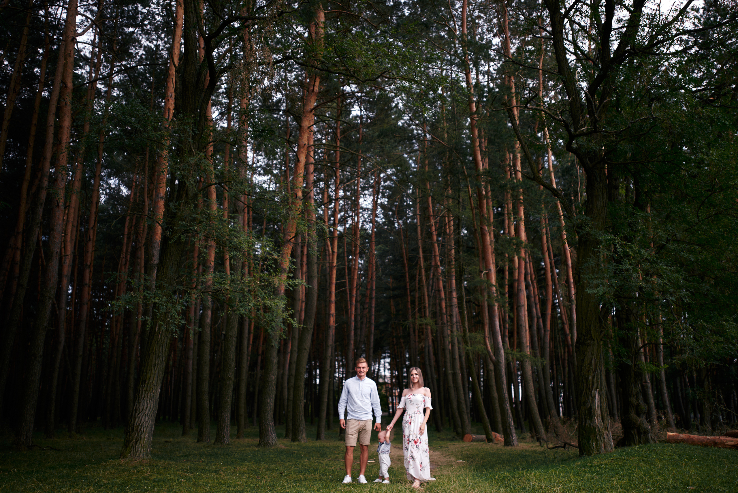 Сімейна прогулянка в сосновому лісі. Photographer Shepetivka, all over Ukraine, Dzekan Denys!