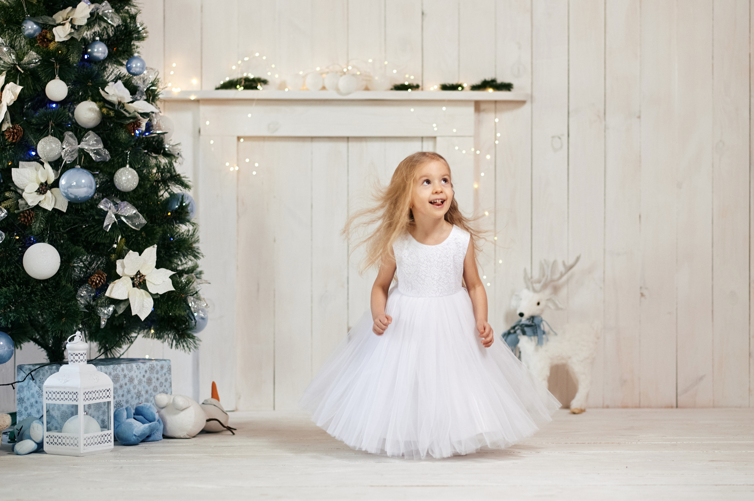 Новорічна, сімейна. Photographer Shepetivka, all over Ukraine, Dzekan Denys!