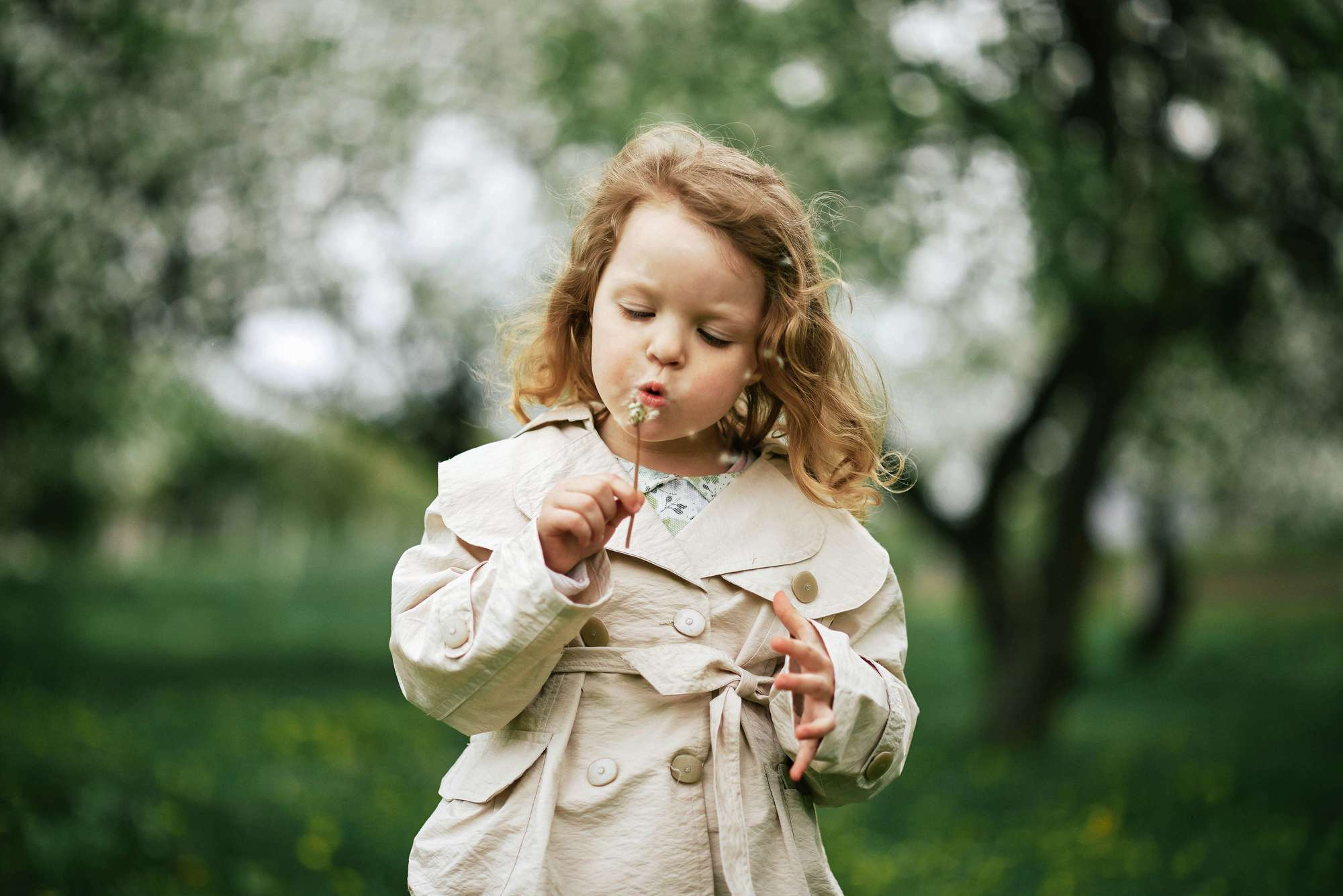 Квітучий садок. Фотограф Шепетівка, вся Україна, Дзекан Денис!