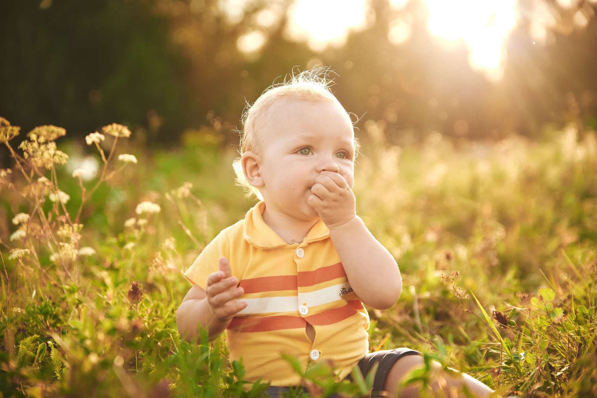 Надя+Рома (сімейна зйомка). Photographer Shepetivka, all over Ukraine, Dzekan Denys!