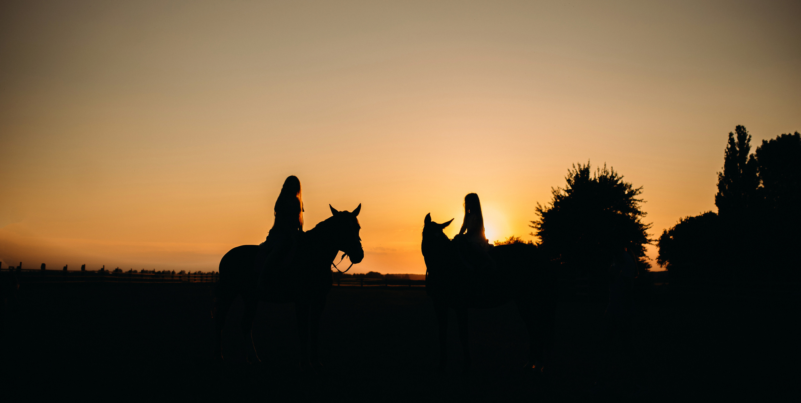 Прогулянка на конях. Photographer Shepetivka, all over Ukraine, Dzekan Denys!