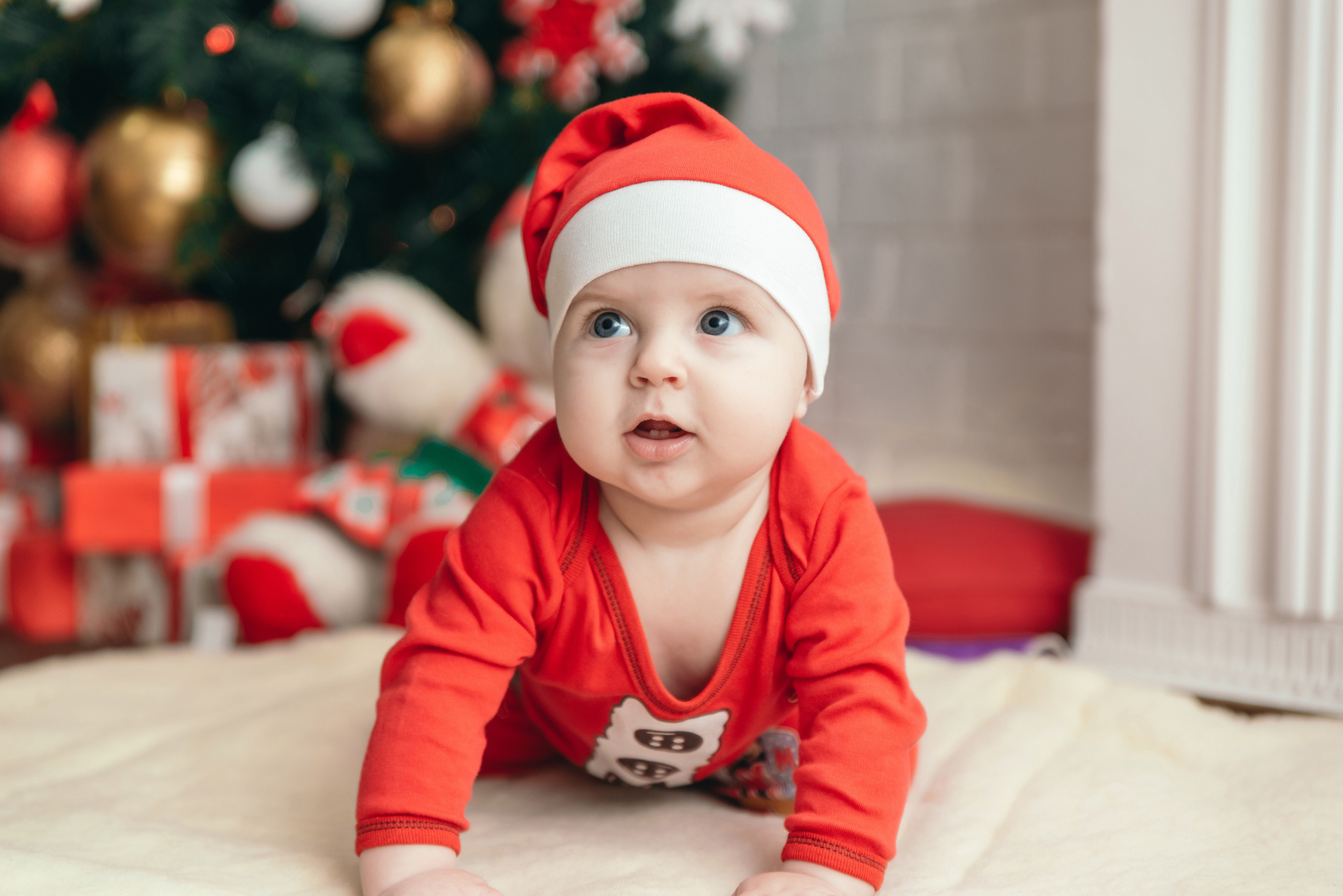 Сімейна, новорічна. Photographer Shepetivka, all over Ukraine, Dzekan Denys!