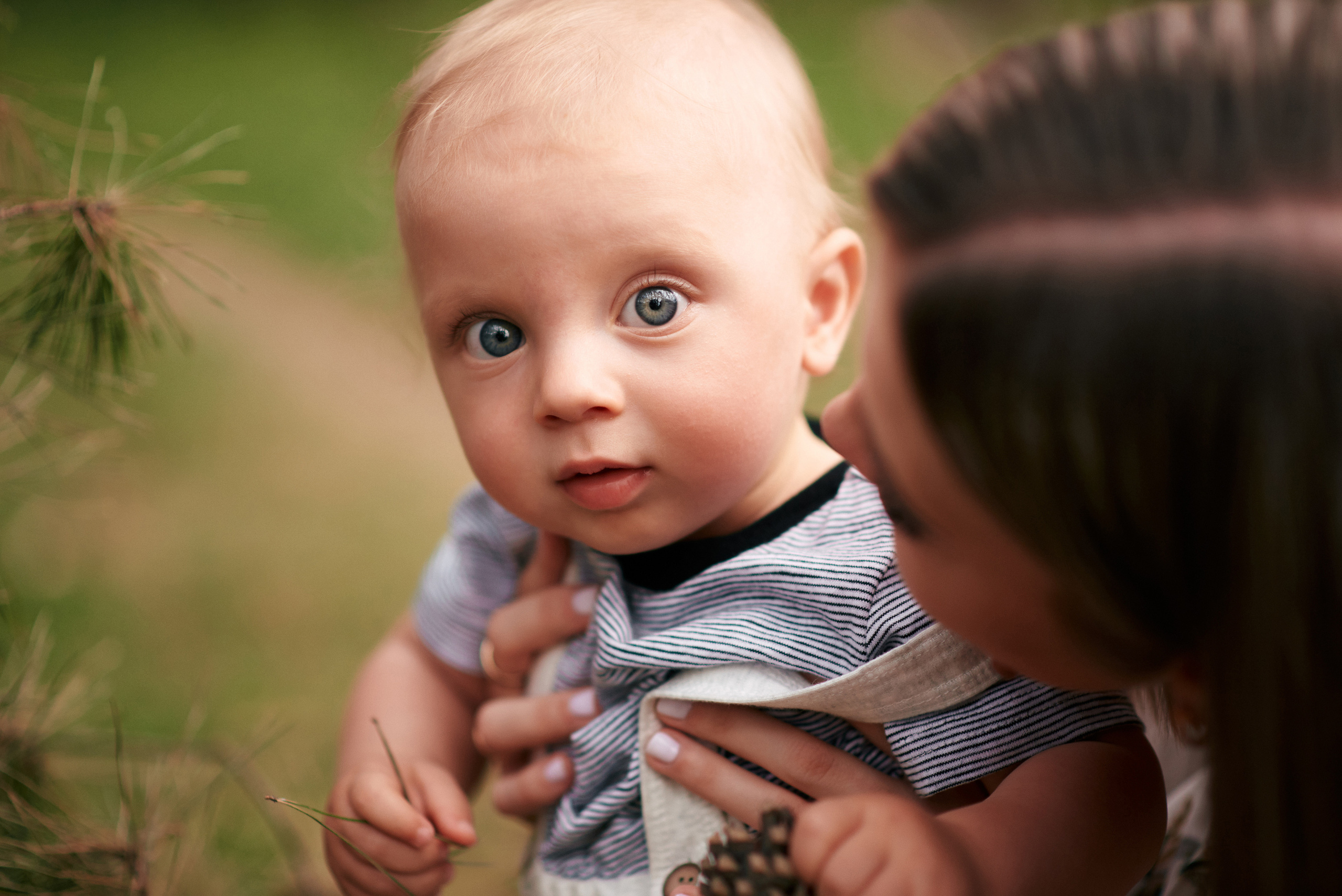 Сімейна прогулянка в сосновому лісі. Photographer Shepetivka, all over Ukraine, Dzekan Denys!