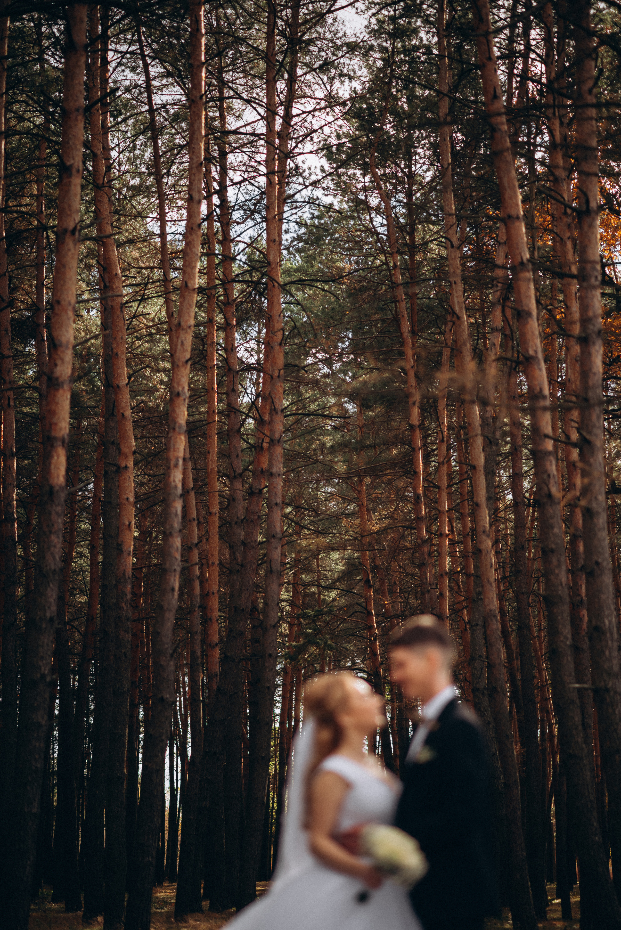 Весілля в Шепетівці, готель Центральний, 2021. Photographer Shepetivka, all over Ukraine, Dzekan Denys!