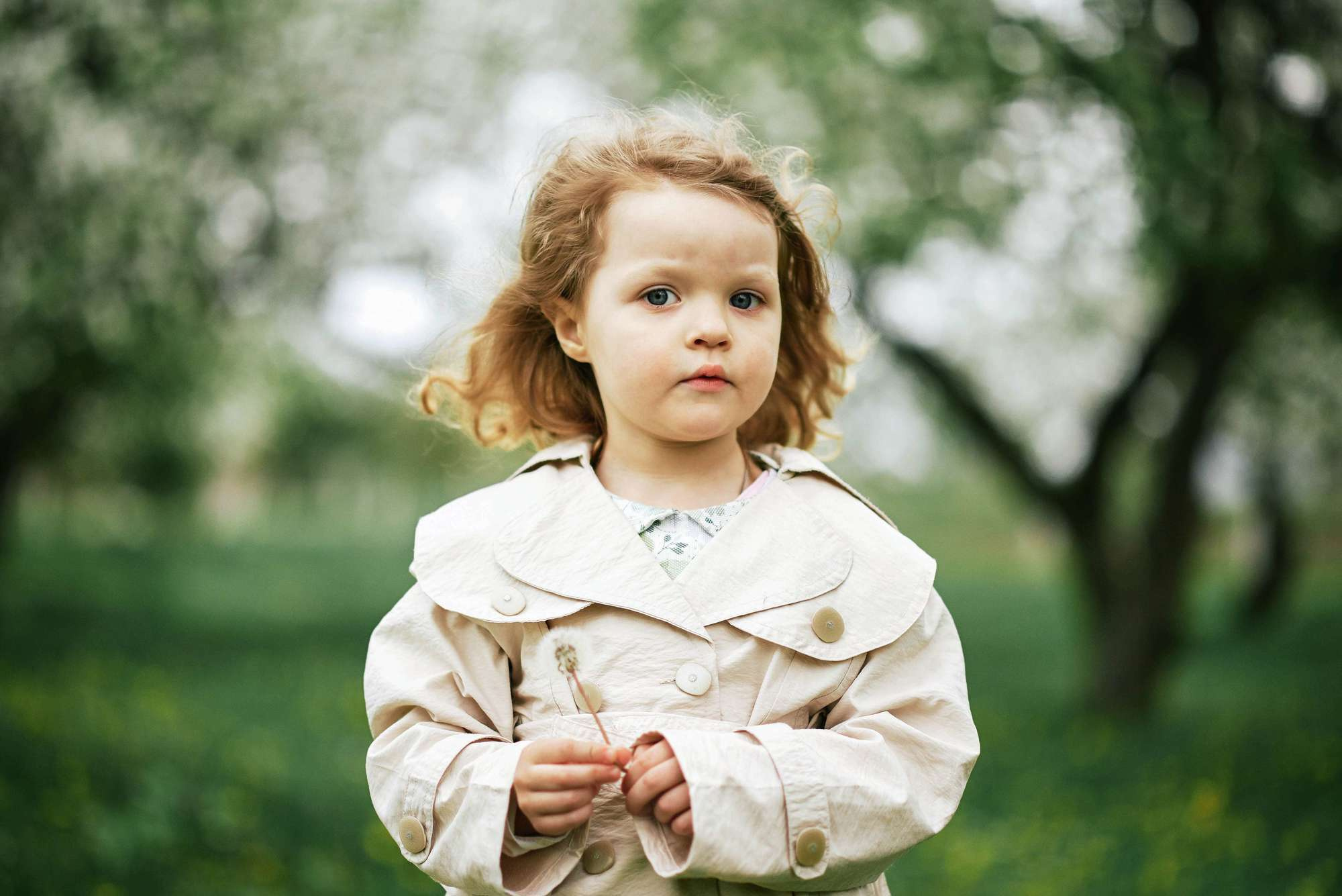 Квітучий садок. Фотограф Шепетівка, вся Україна, Дзекан Денис!