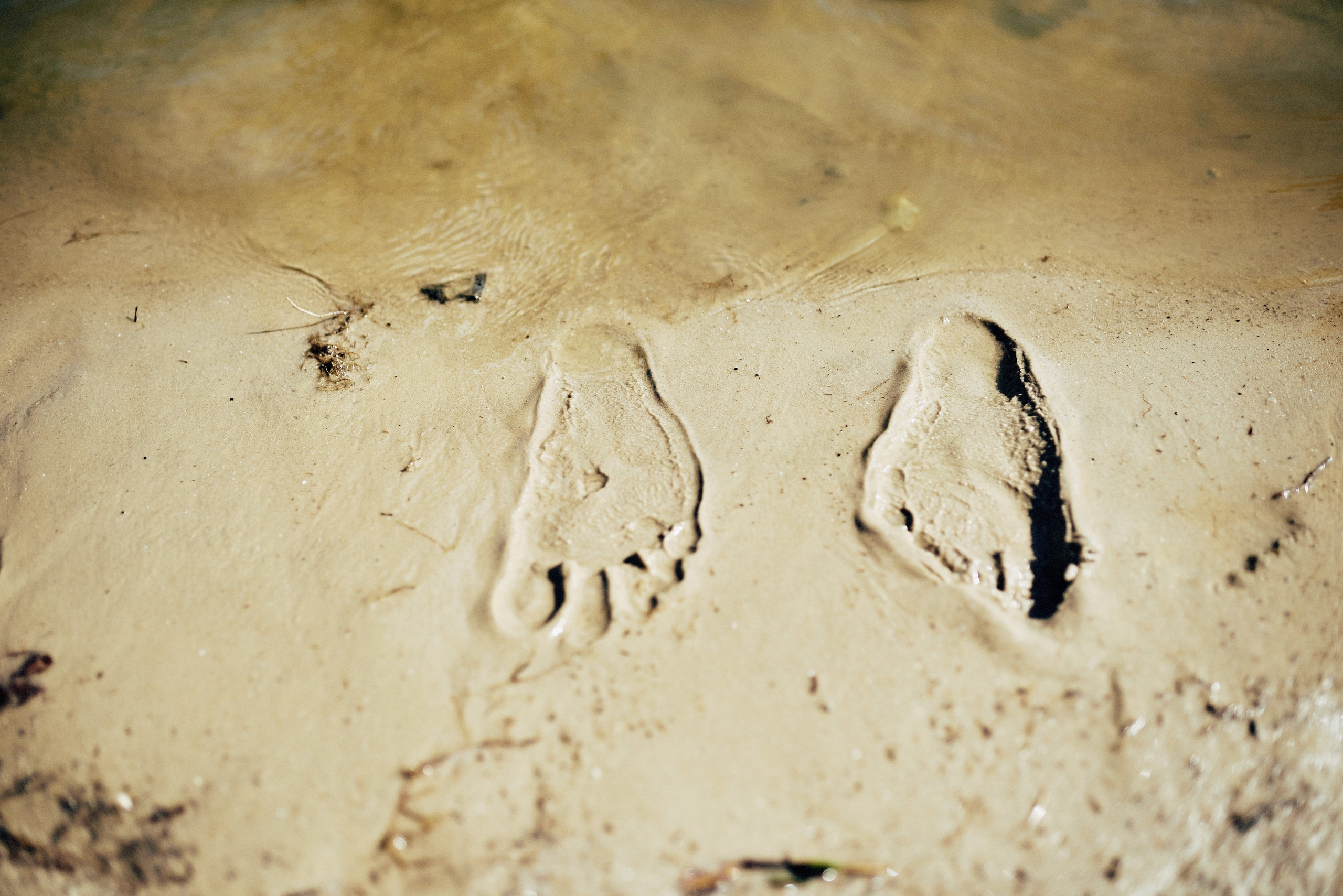 Аня & Діма. Photographer Shepetivka, all over Ukraine, Dzekan Denys!