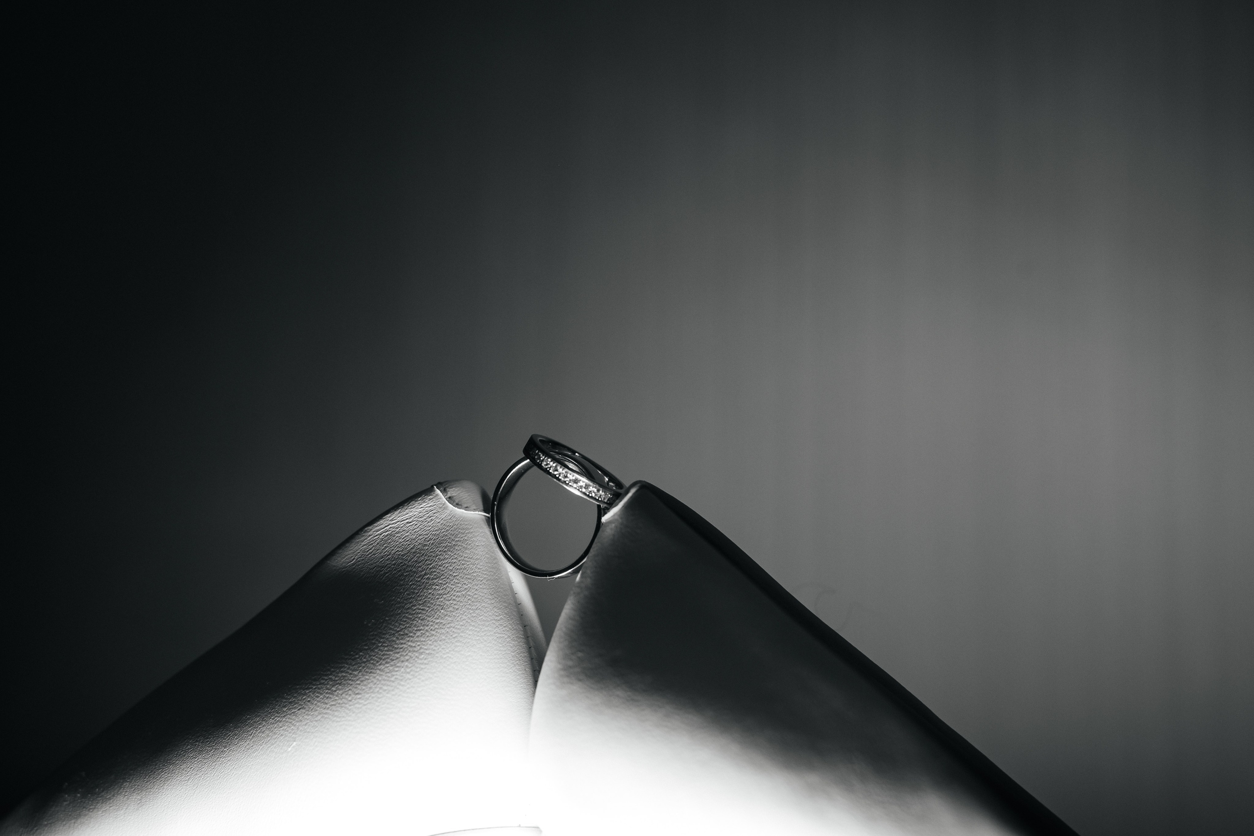 Аlexandr & Olga. Alla Podolnaya Photographer