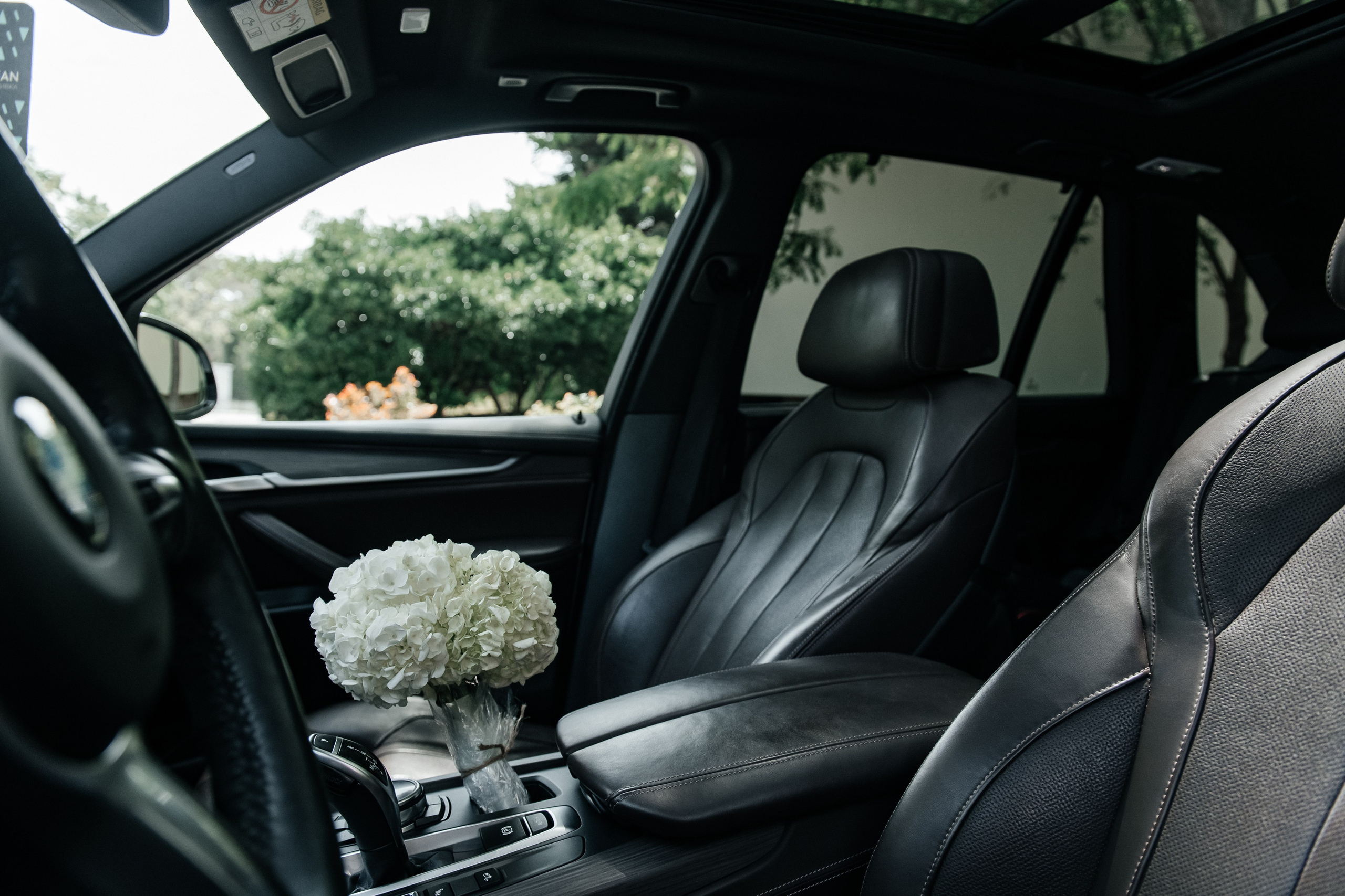 Vyacheslav & Kristina. Alla Podolnaya Photographer