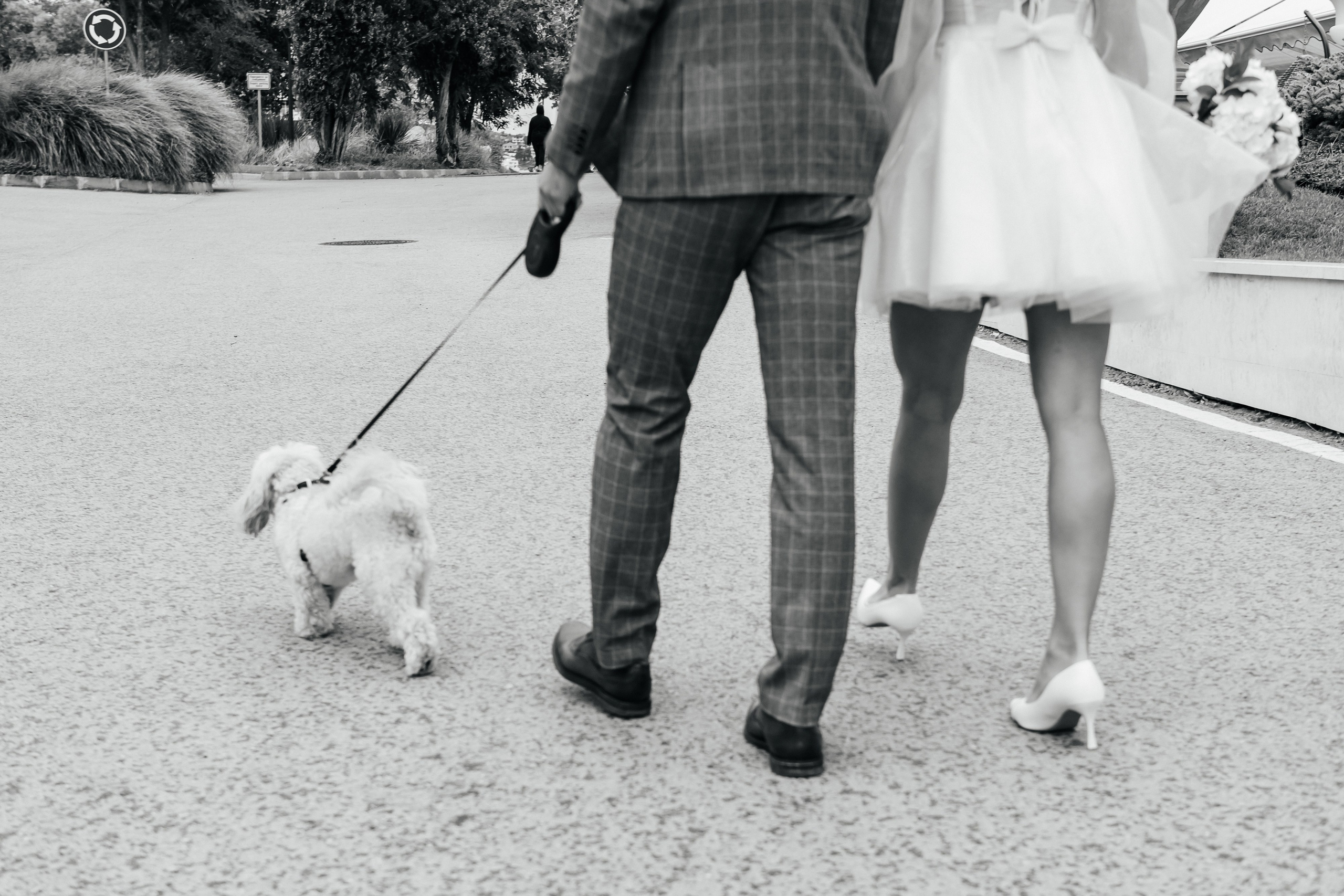 Dmitriy & Albina. Alla Podolnaya Photographer