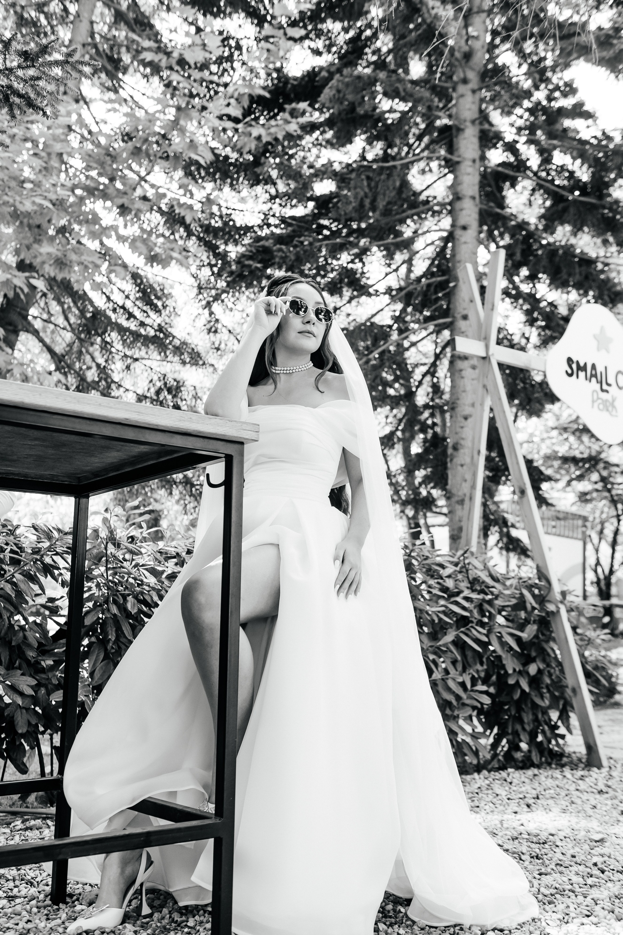 Dmitriy & Karina. Фотограф Алла Подолна