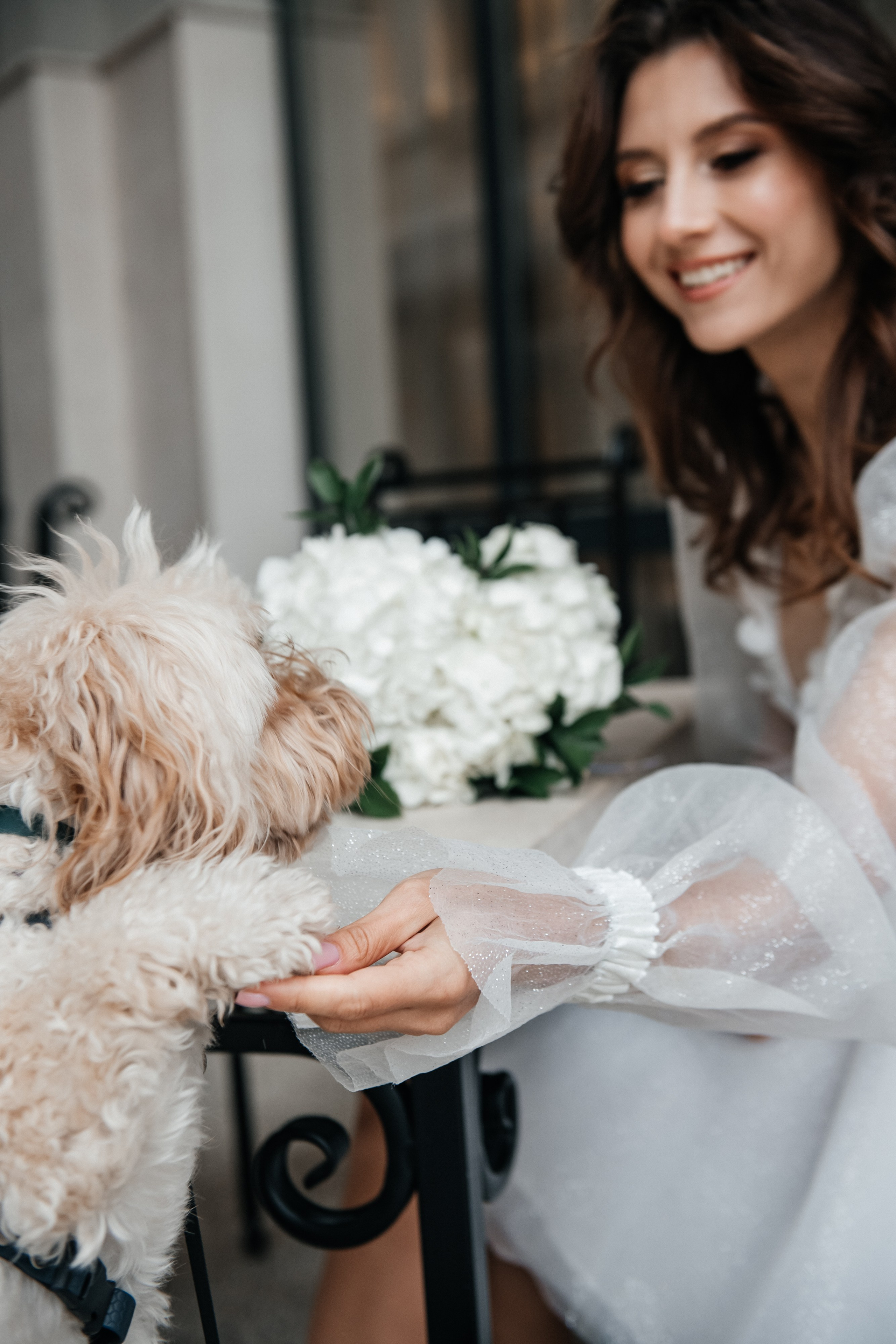 Dmitriy & Albina. Alla Podolnaya Photographer