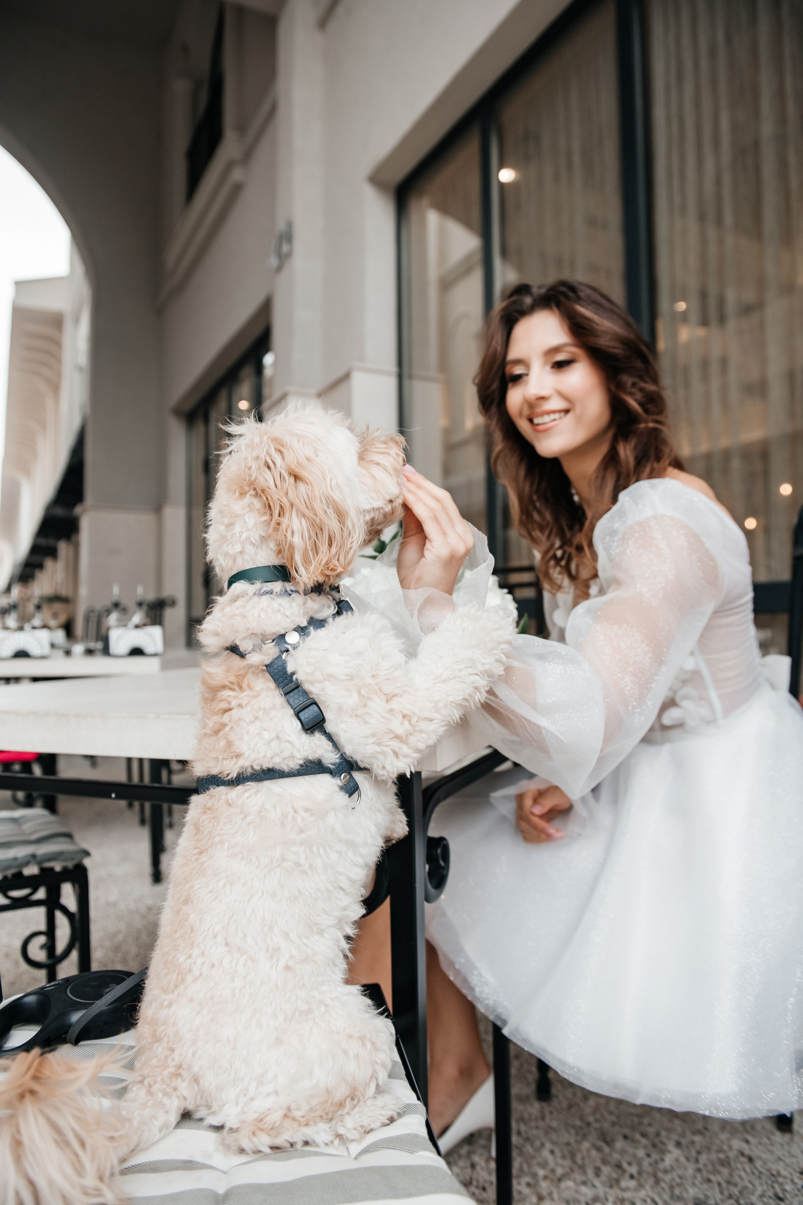 Dmitriy & Albina. Alla Podolnaya Photographer