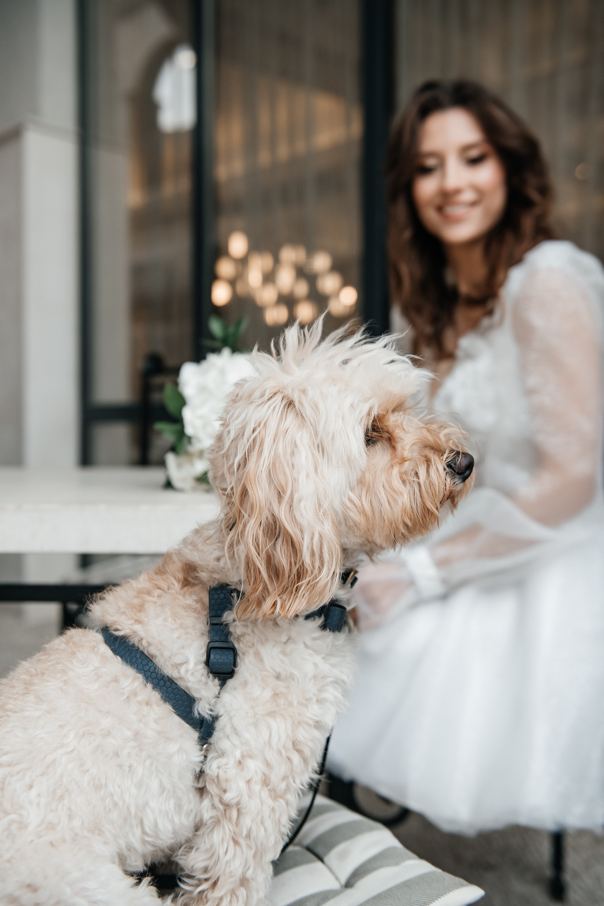 Dmitriy & Albina. Alla Podolnaya Photographer