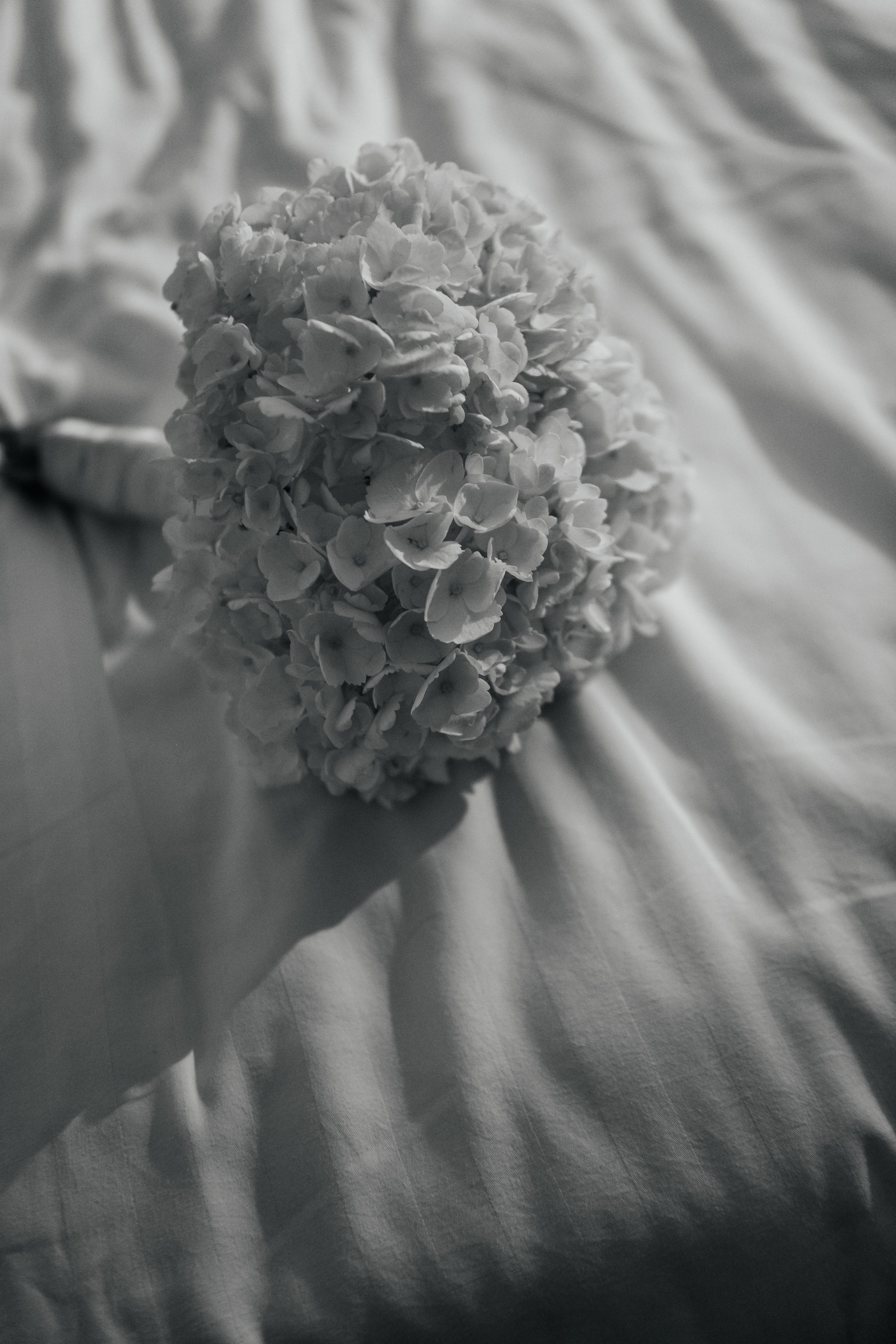 Vyacheslav & Kristina. Alla Podolnaya Photographer