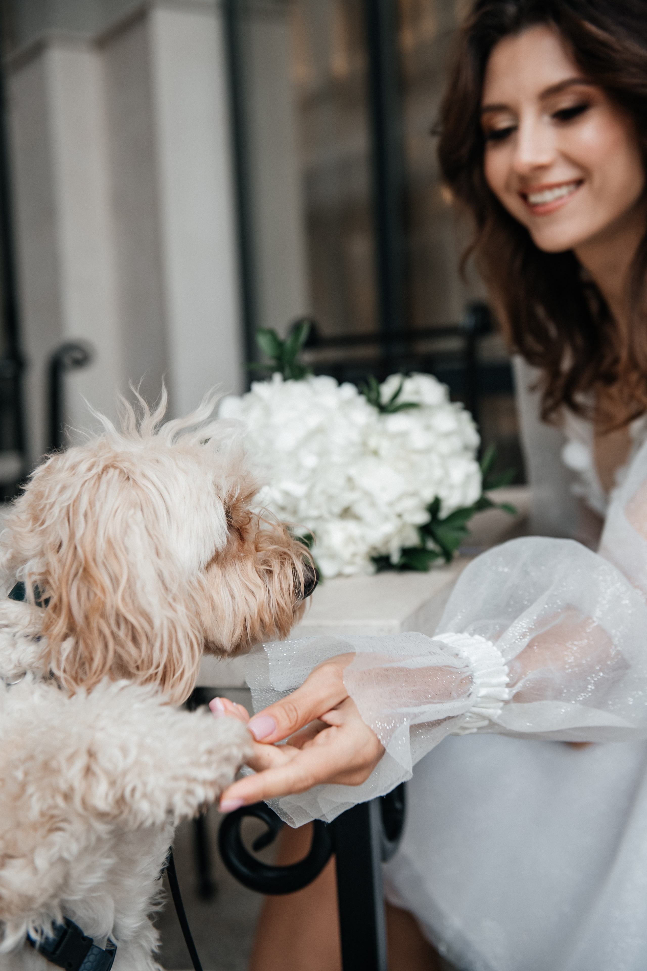 Dmitriy & Albina. Alla Podolnaya Photographer