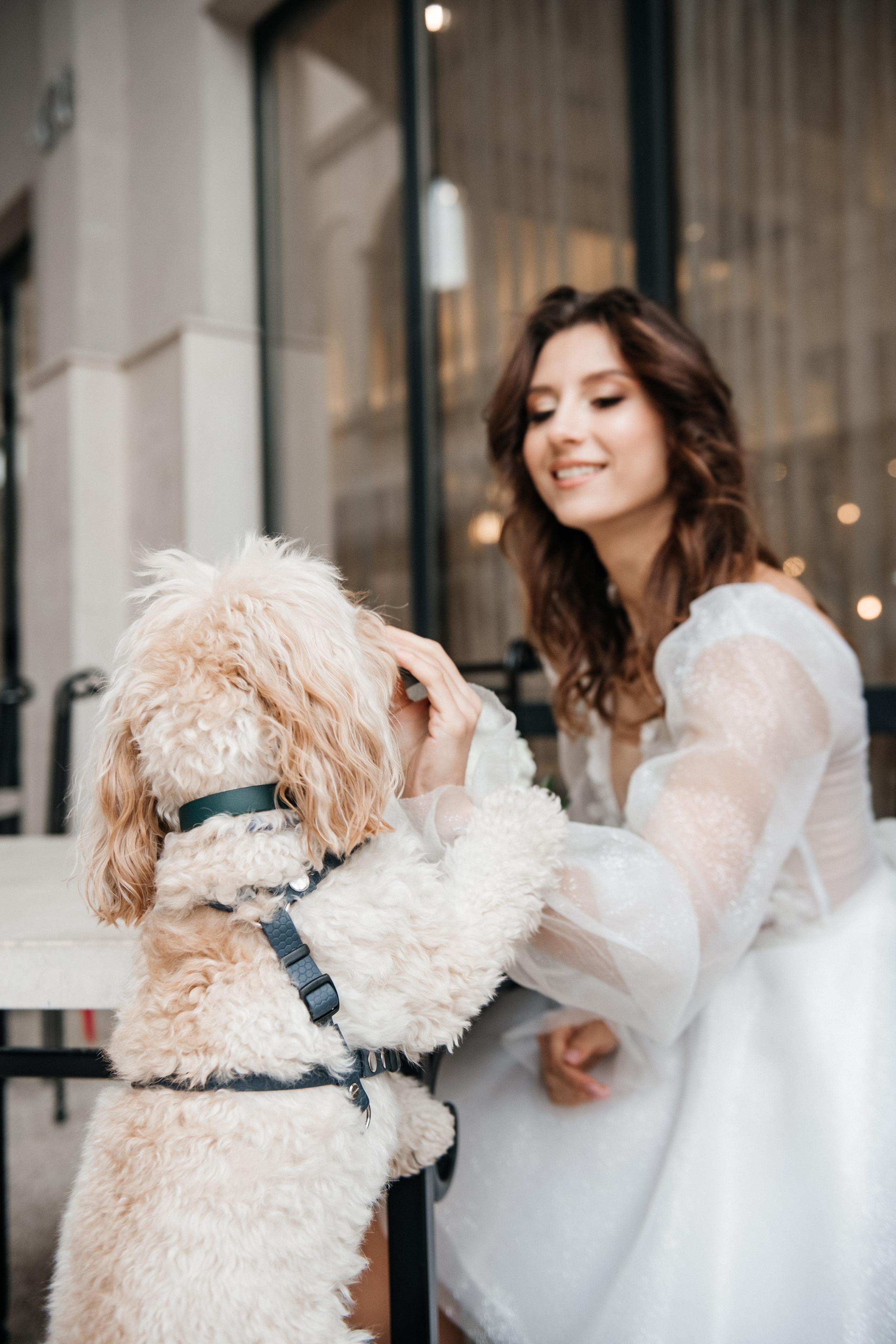 Dmitriy & Albina. Alla Podolnaya Photographer