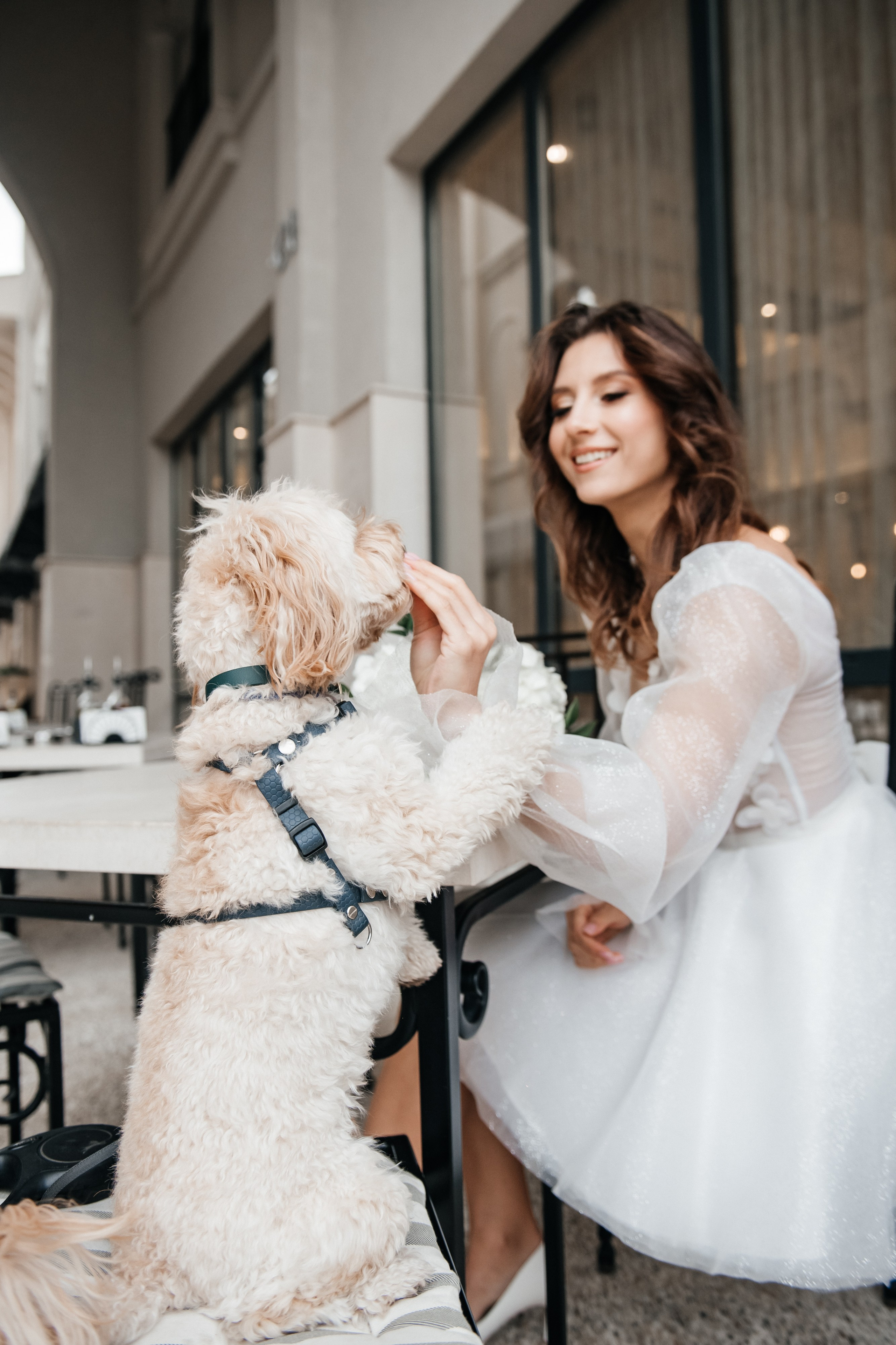 Dmitriy & Albina. Alla Podolnaya Photographer