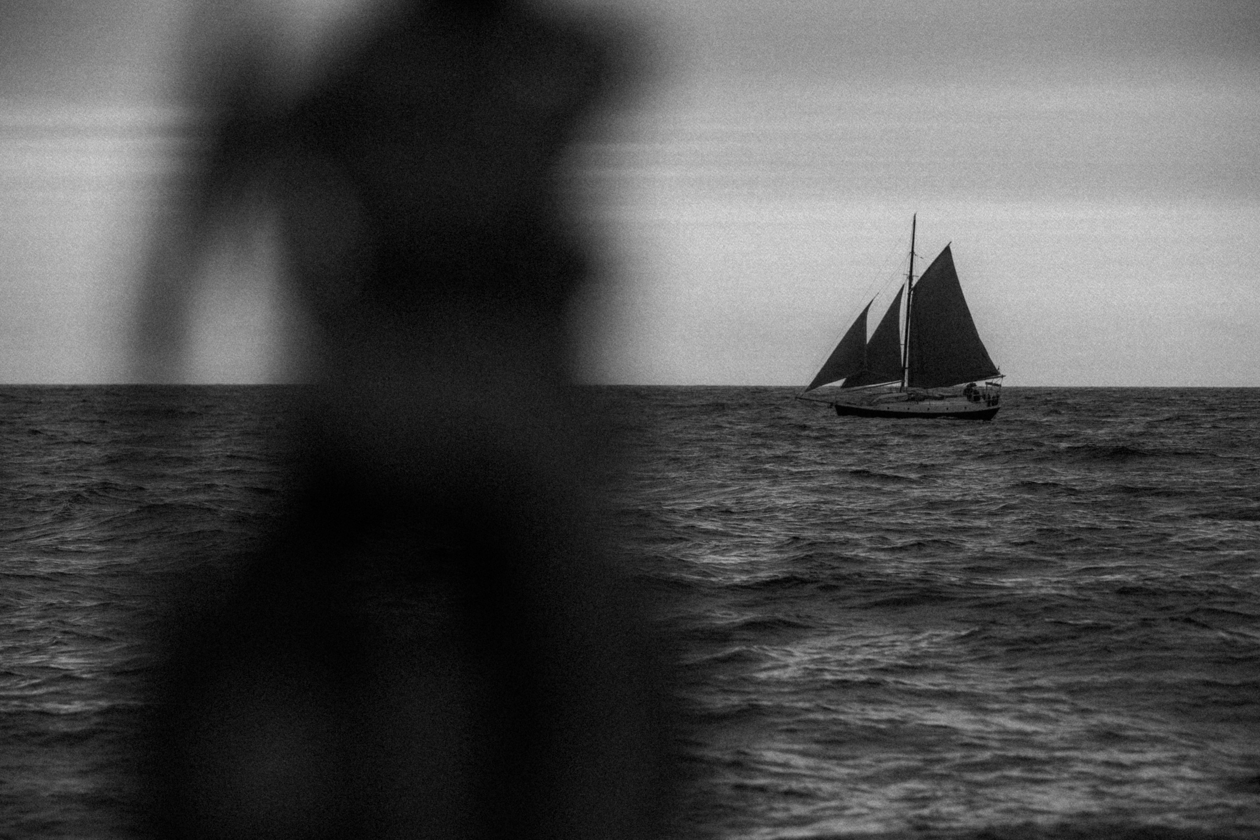 Sailing Into Wellness. Sergey Kior