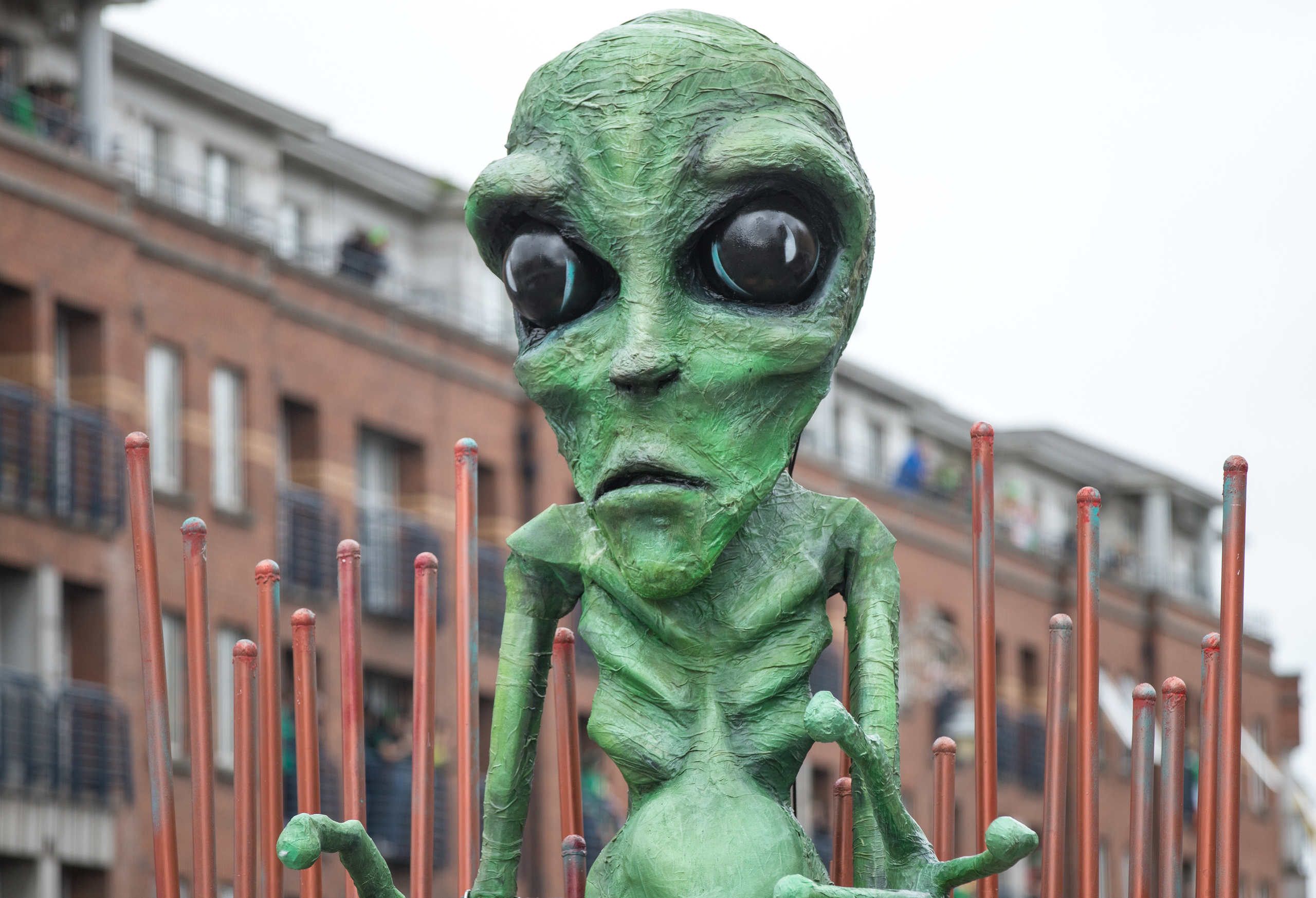 St Patrick’s Day. Sergey Kior