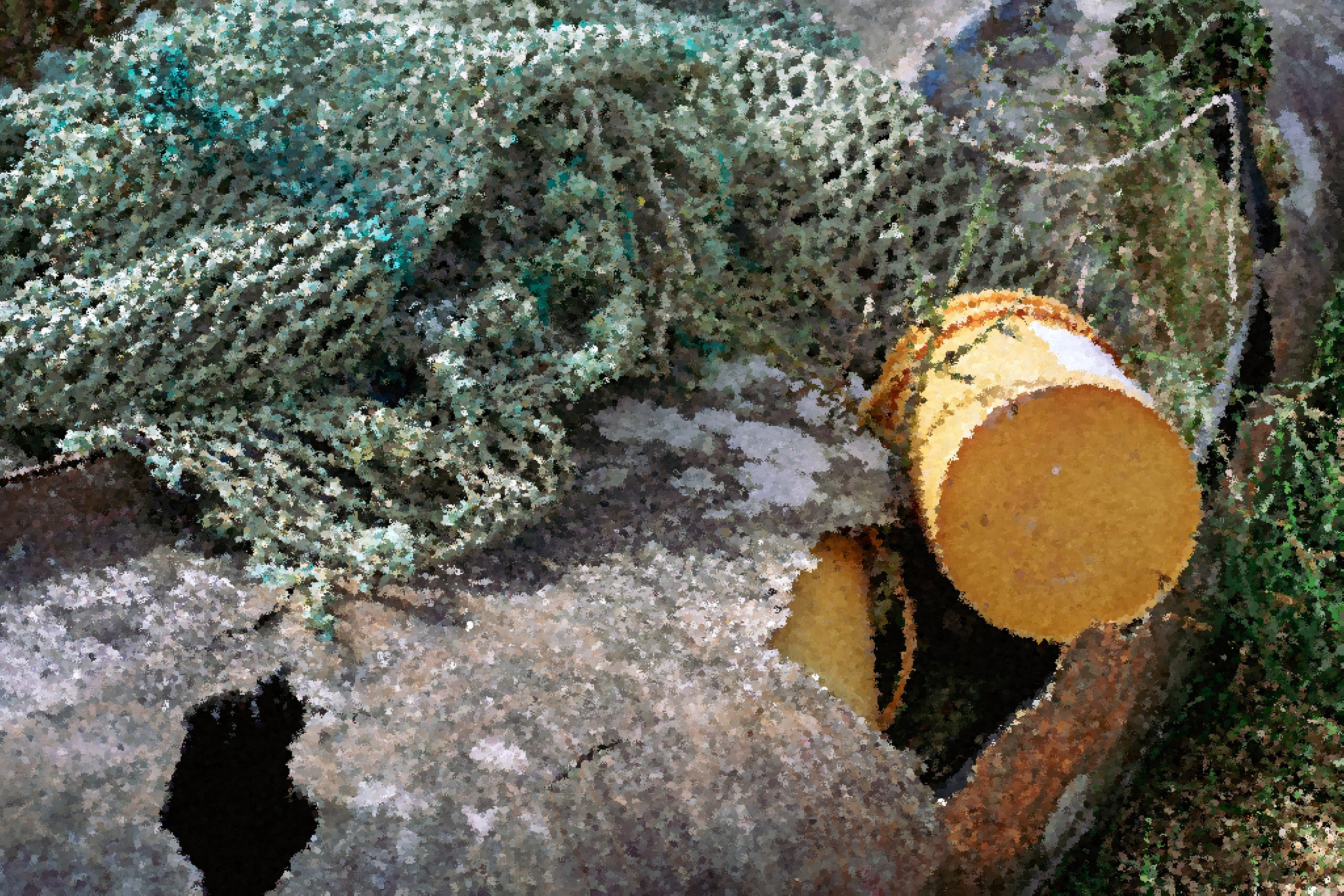 Sherkin Island. Sergey Kior