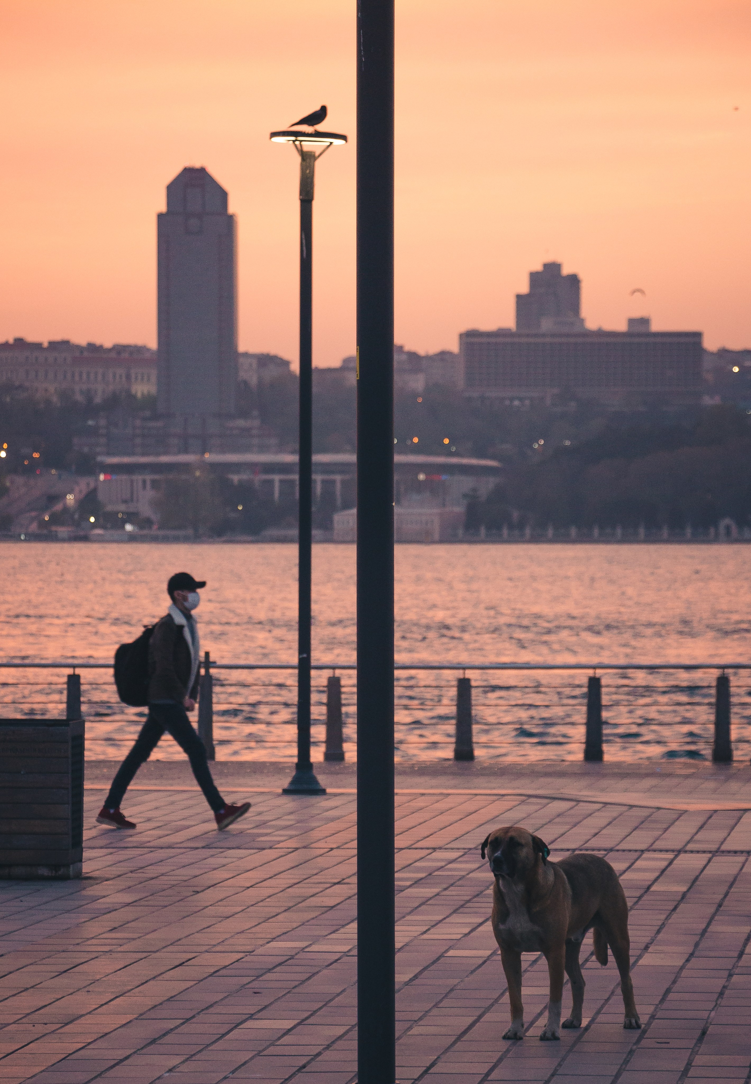 Istanbul. Sergey Kior